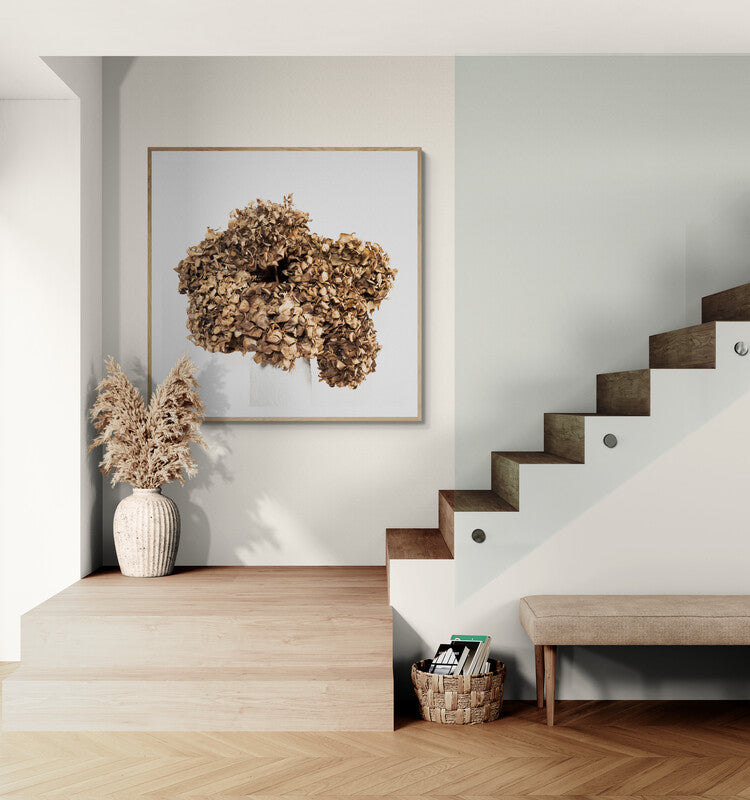 Lasting Blooms Dried Hydrangeas #1 - Limited Edition Print