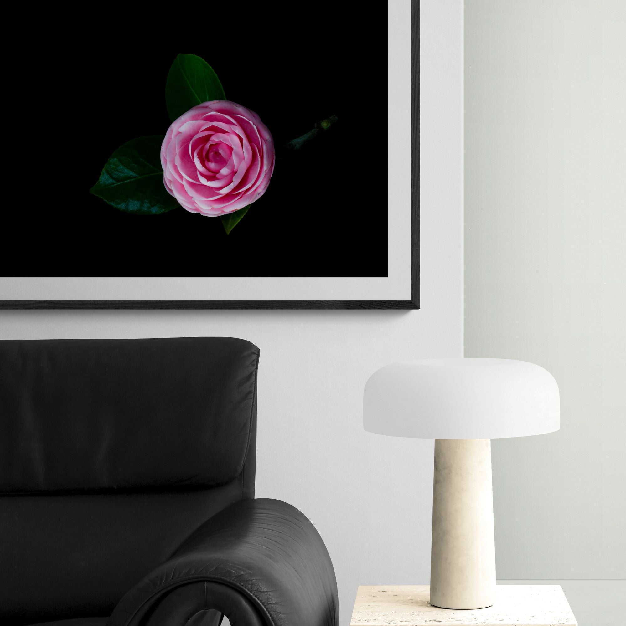 pink camellia in apartment by Kirsten Clark Art