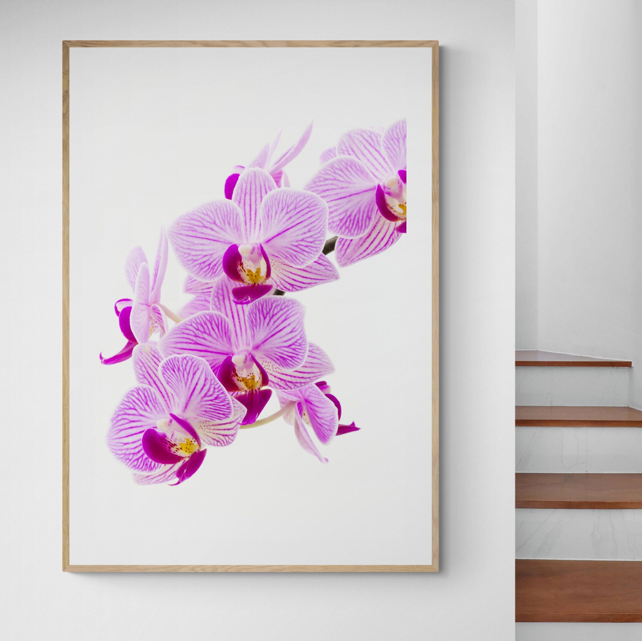 pink_orchid_print_on_interior-feature-wall-by Kirsten Clark Art
