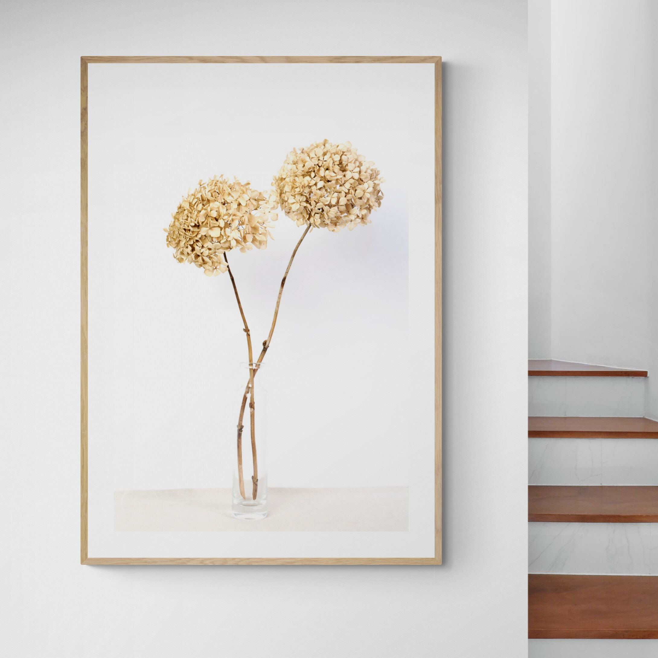 two dried hydrangeas print interior-feature-wall by Kirsten Clark Art