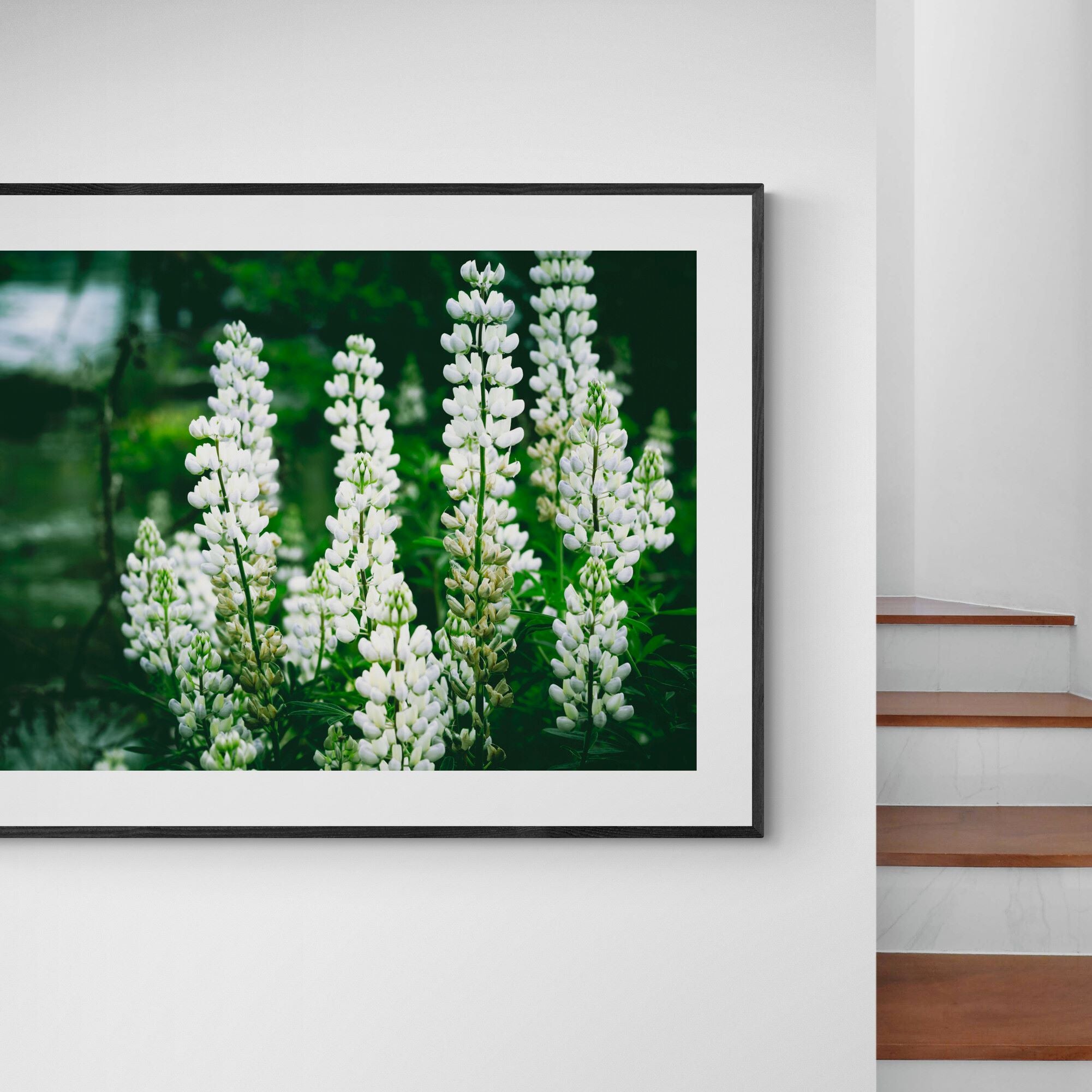 wanaka lupins print on interior-feature-wall-next-to-staircase by Kirsten Clark Art