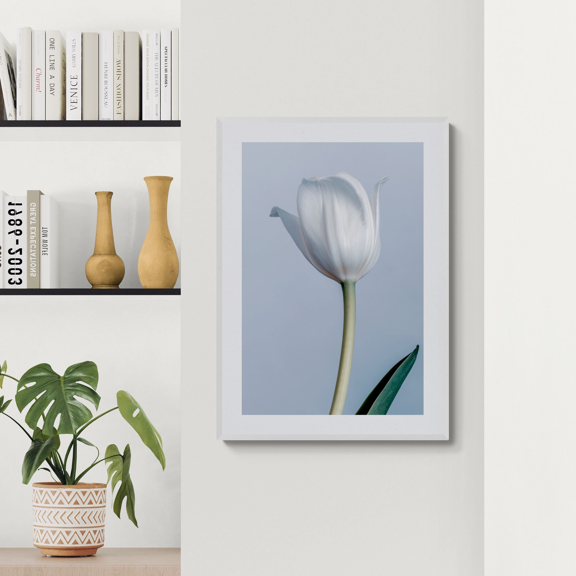 white tulip in living-room-with-shelving by Kirsten Clark Art