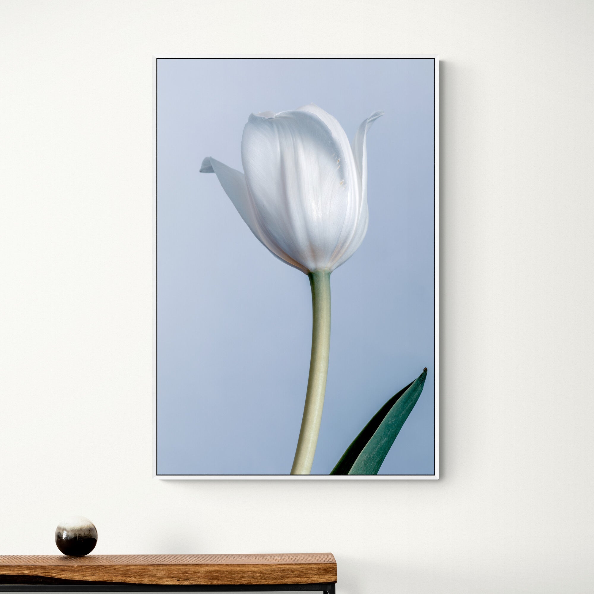 white tulip canvas above console table in hallway
