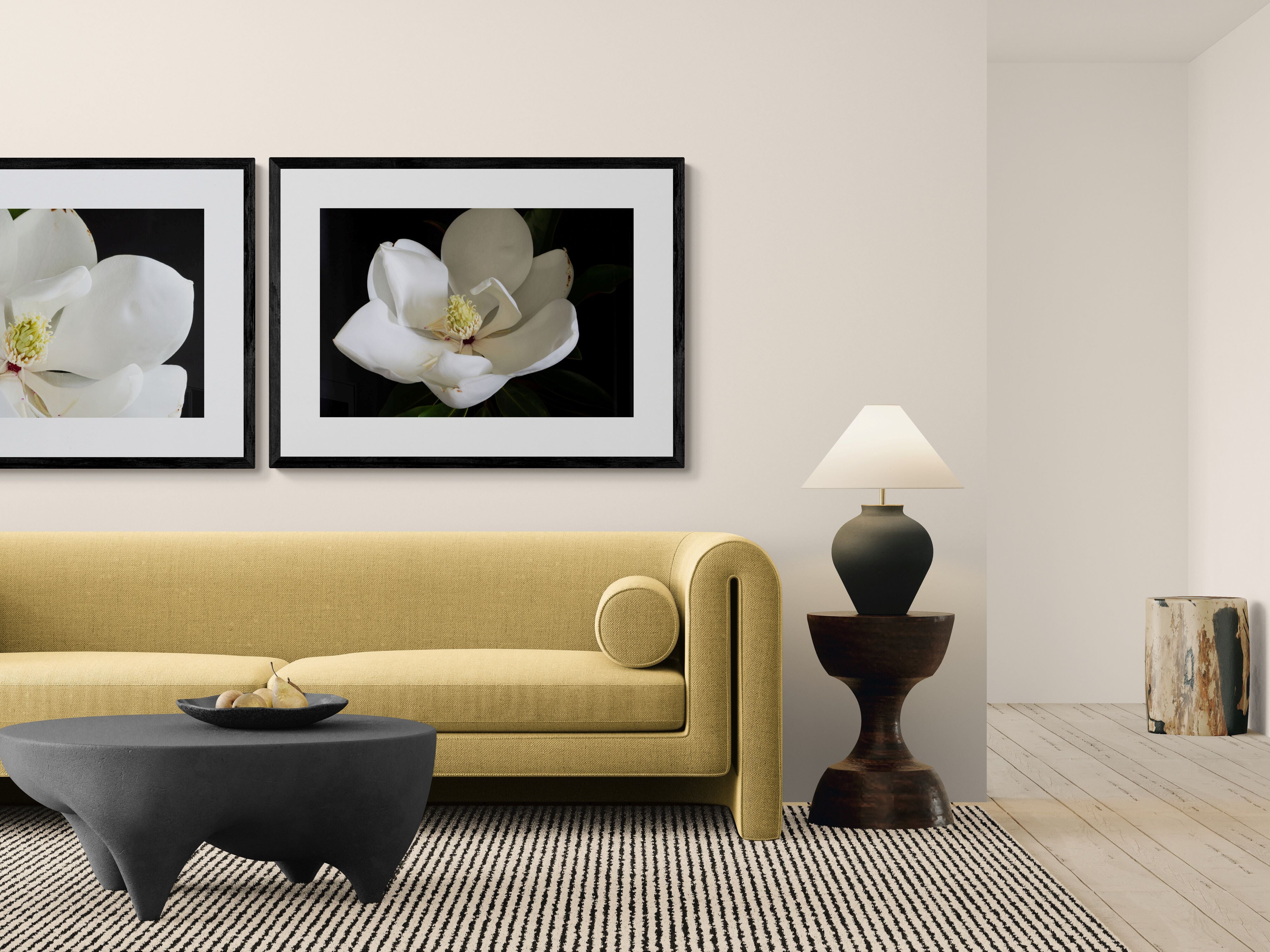Magnolia III - Magnolia Series