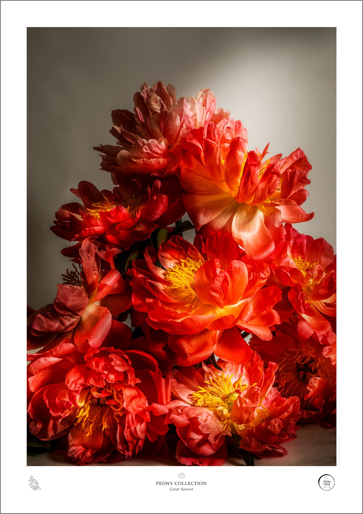 Peony - Coral Sunset Peonies Open Edition Print