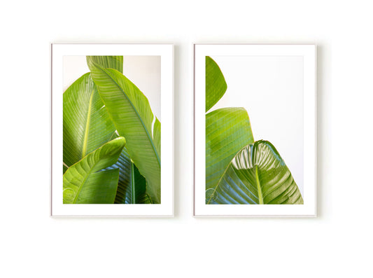 Banana Palms Pair - Open Edition Prints