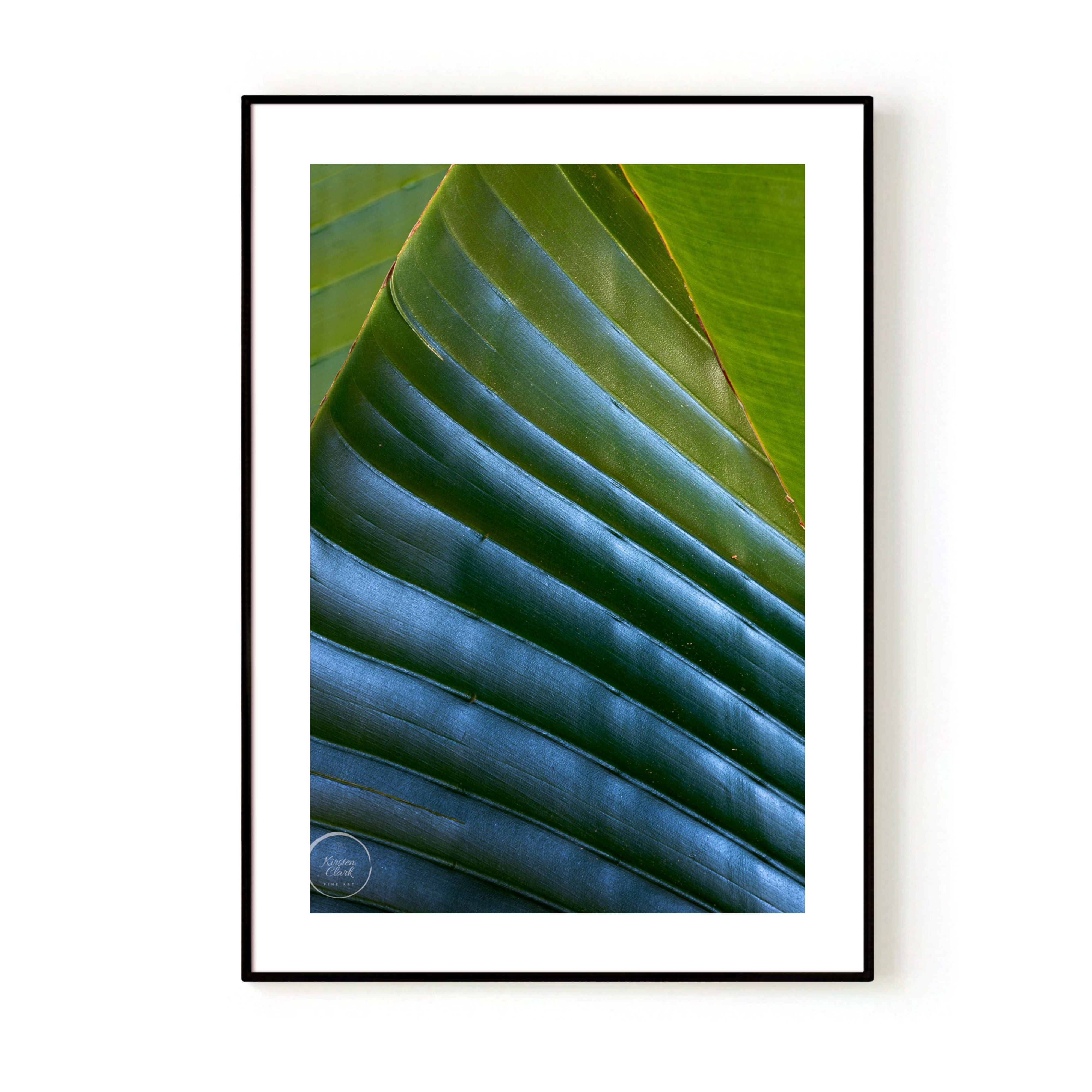 Banana Palms 2 - Limited Edition Print