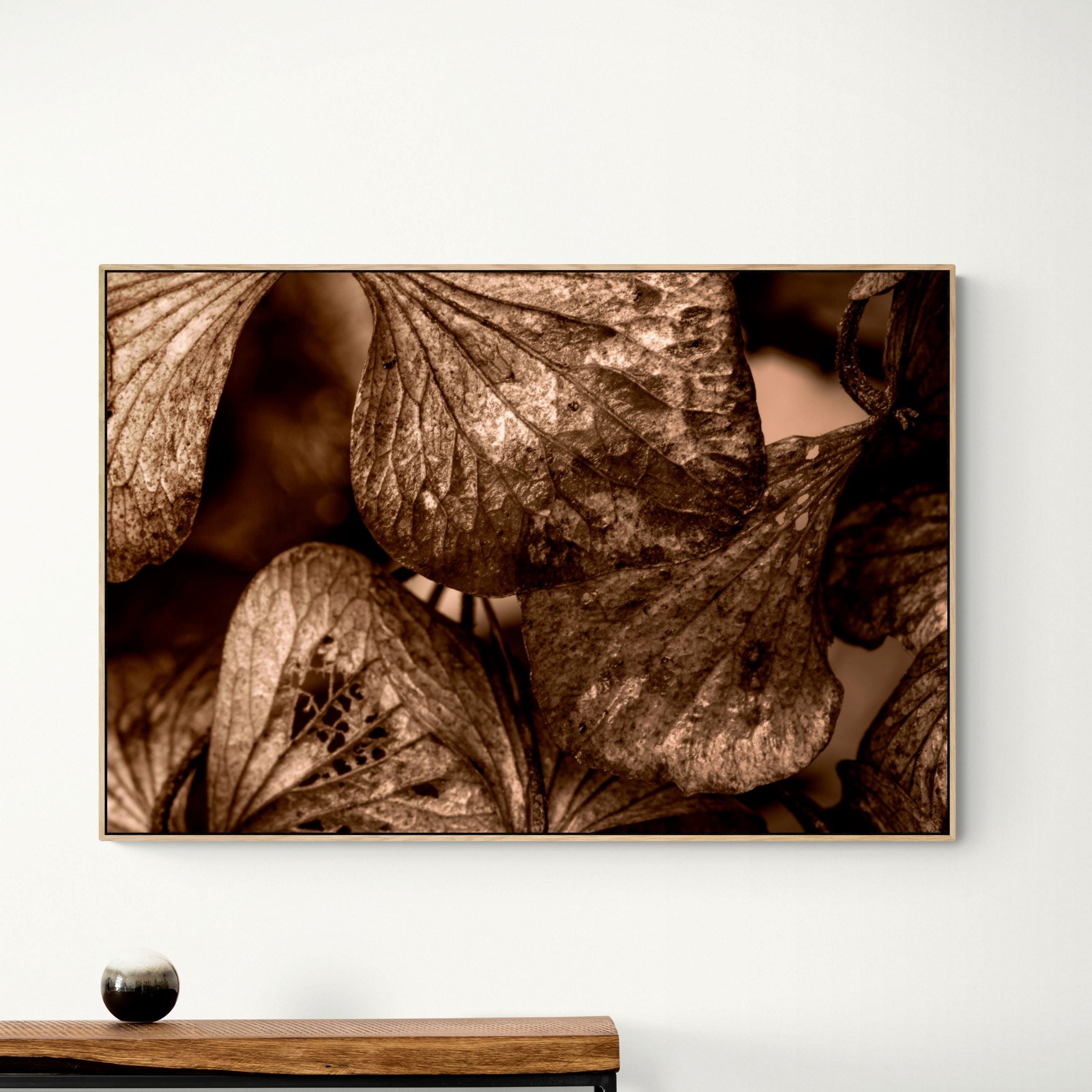 Bronze Hydrangeas | Canvas Print