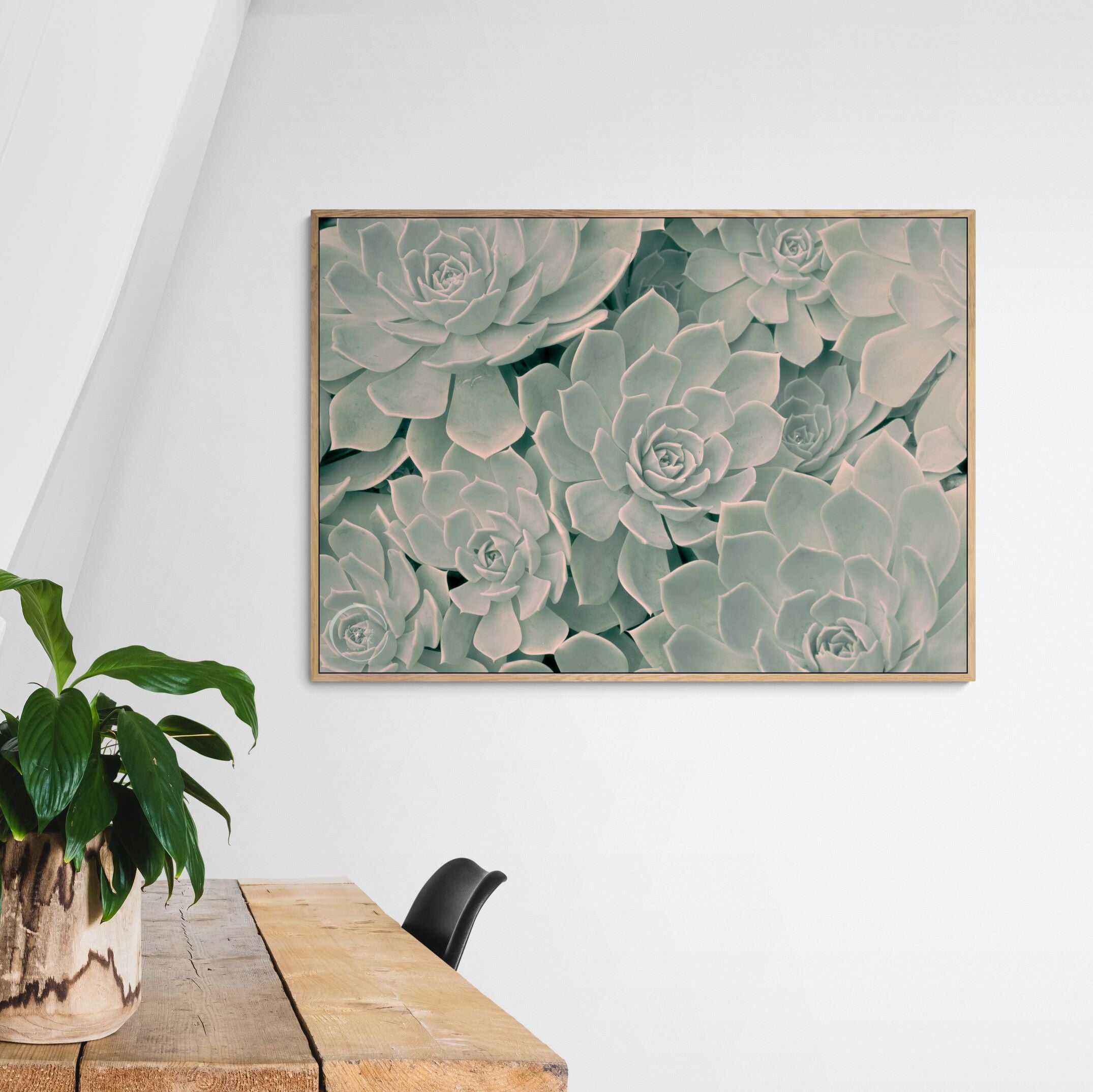 Calm Succulents | Canvas Print