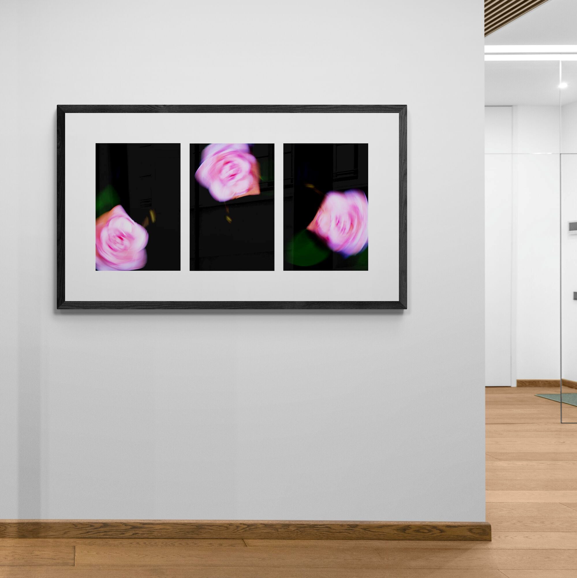 Camellia Swirl Triptych | Limited Edition Print