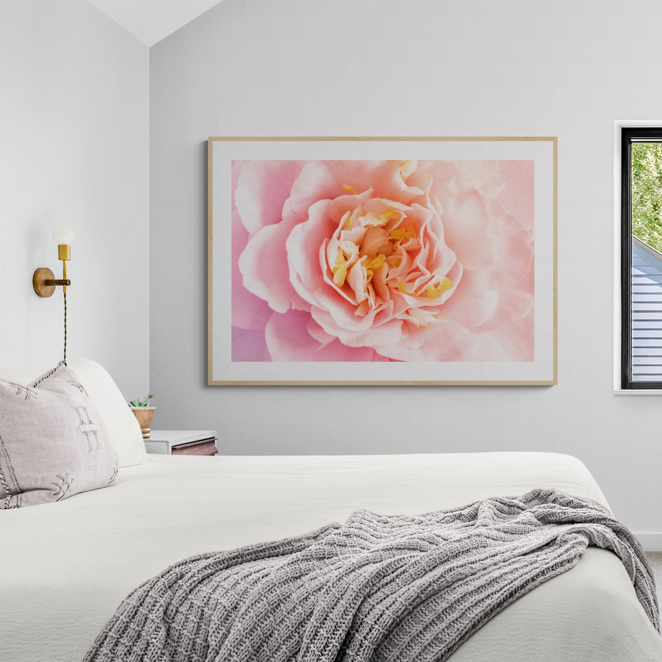 Camellia Blush | Open Edition Print