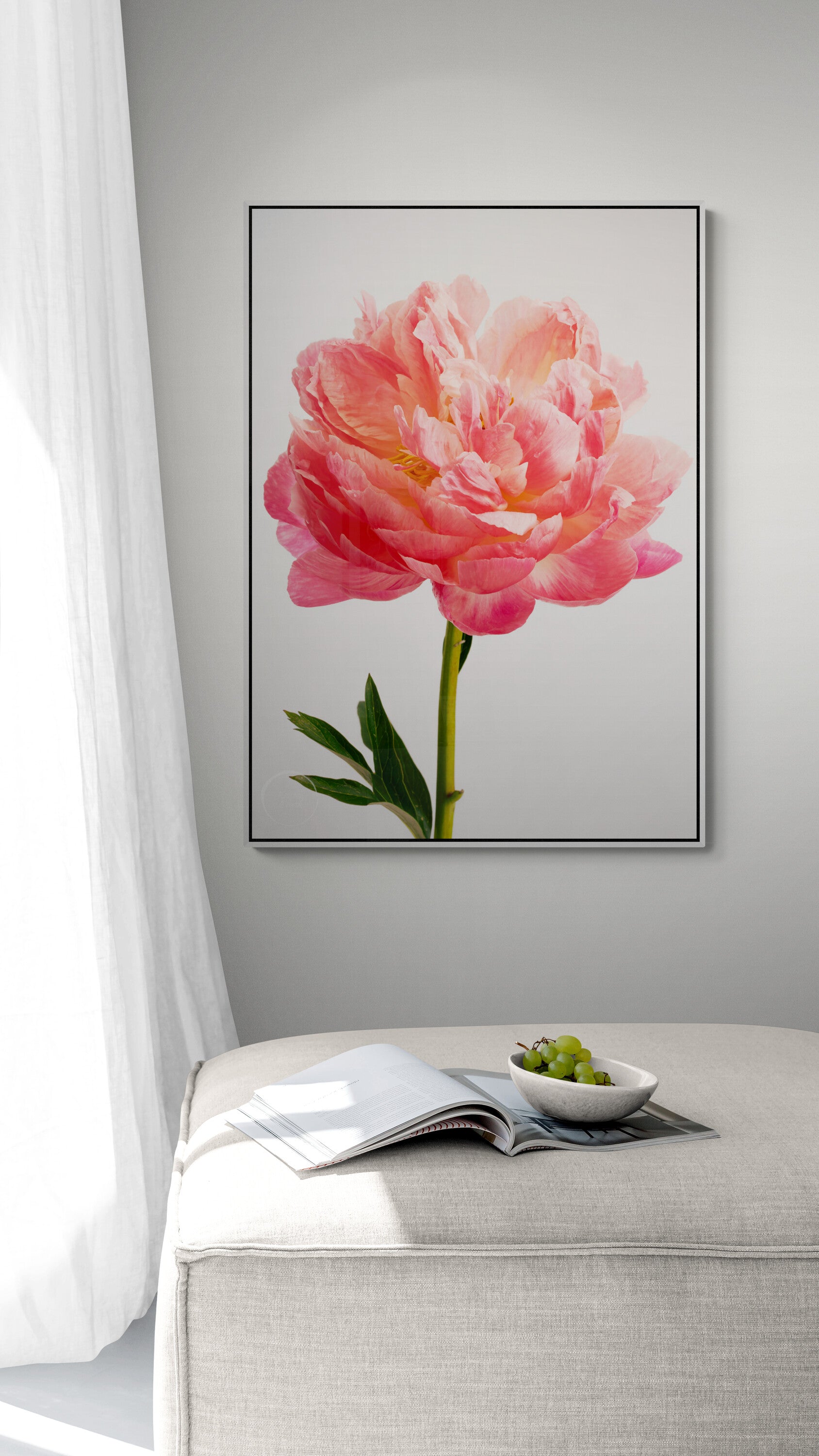Coral Charm Peony | Canvas Print
