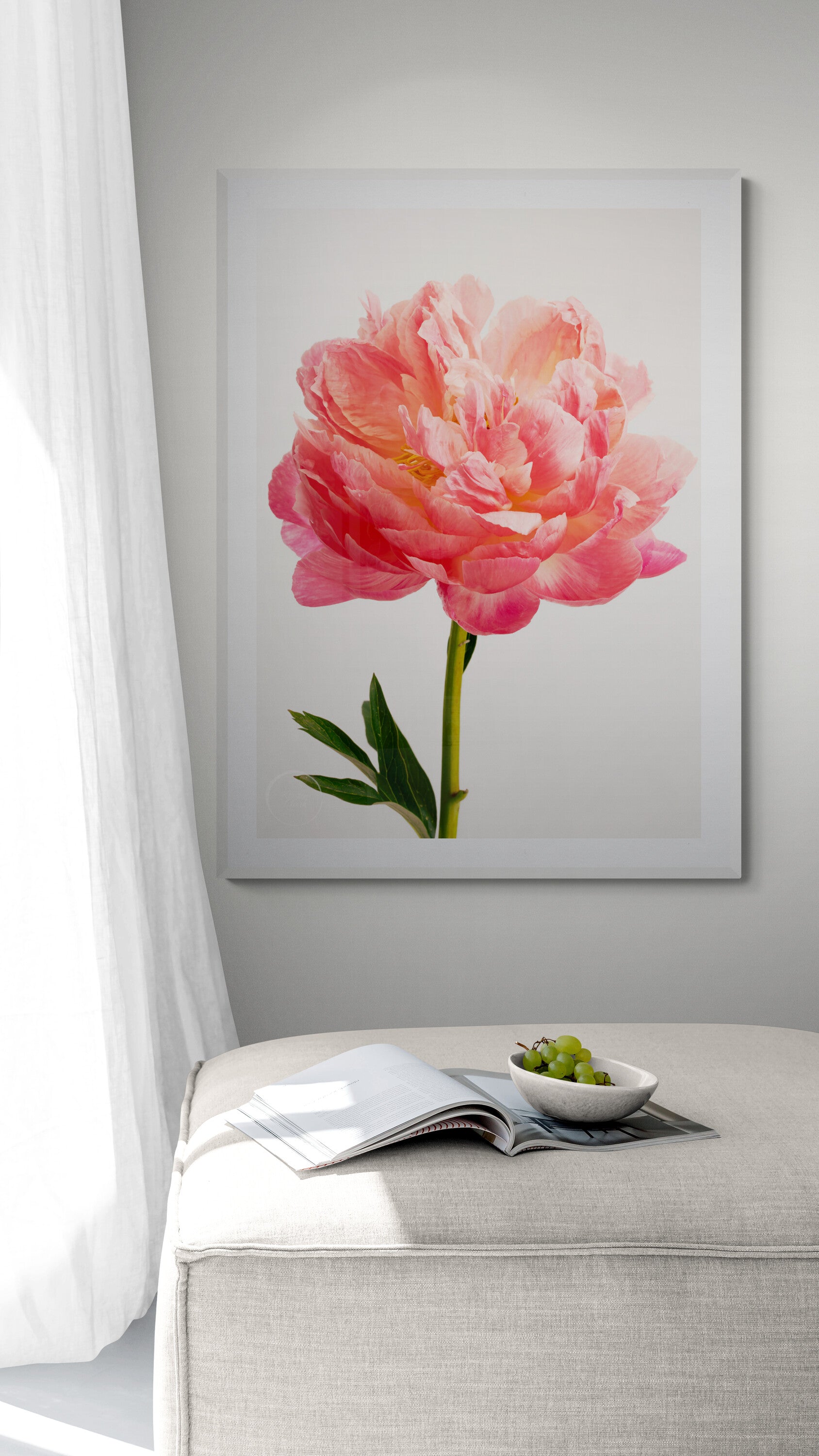 Coral Charm Peony Print