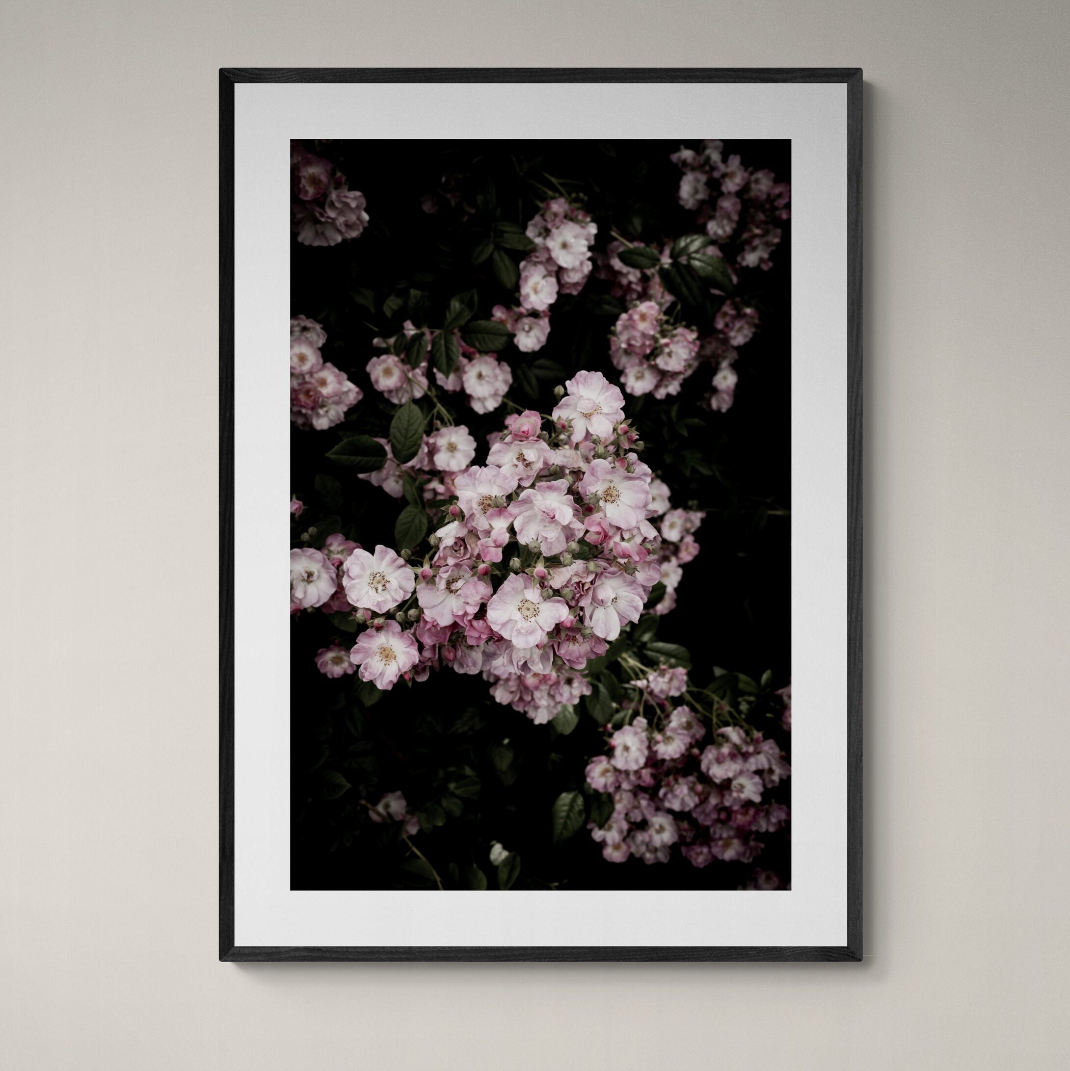 Cottage Garden Roses Print with black frame on wall by Kirsten Clark Art