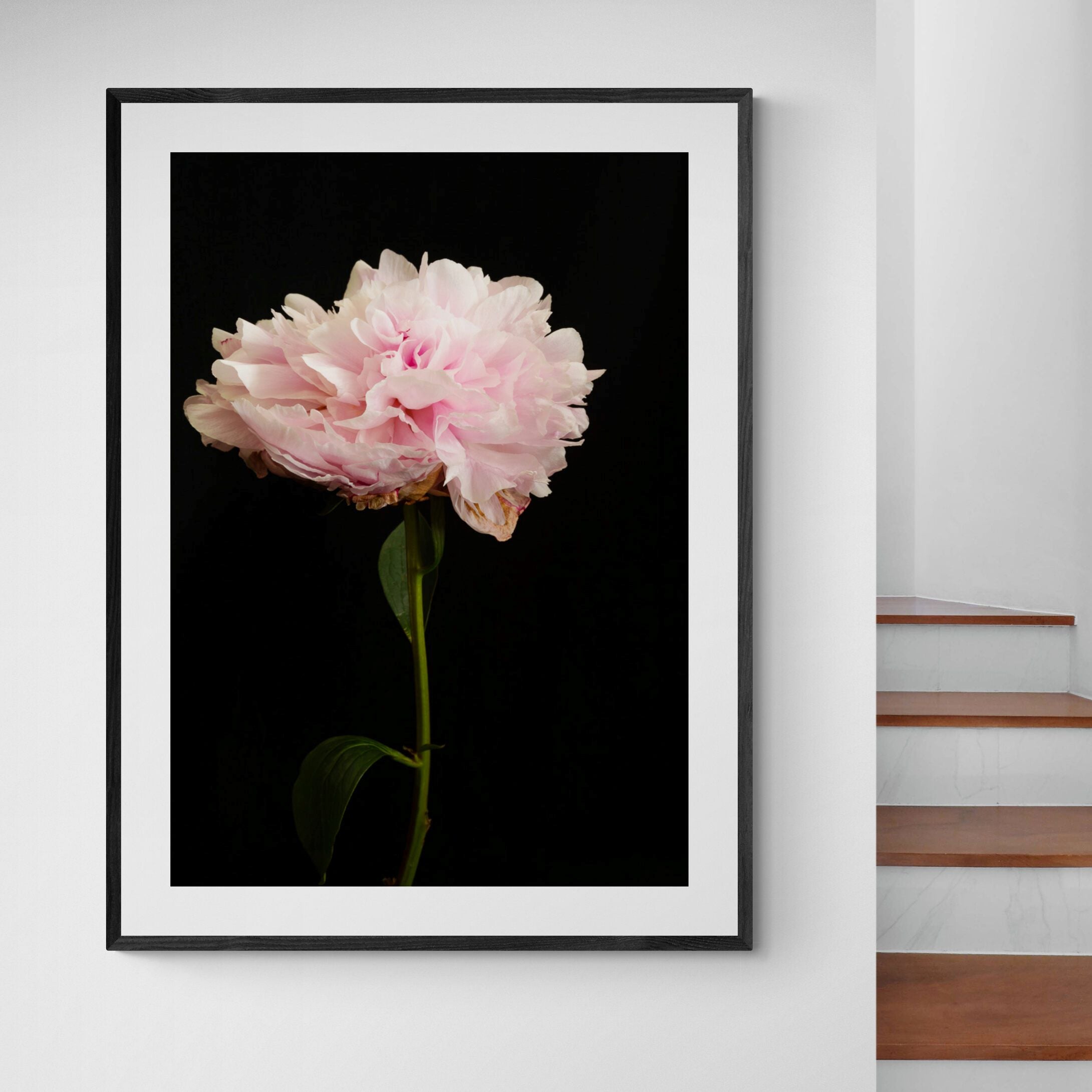 Dancing Peony Print in hallway by Kirsten Clark Art