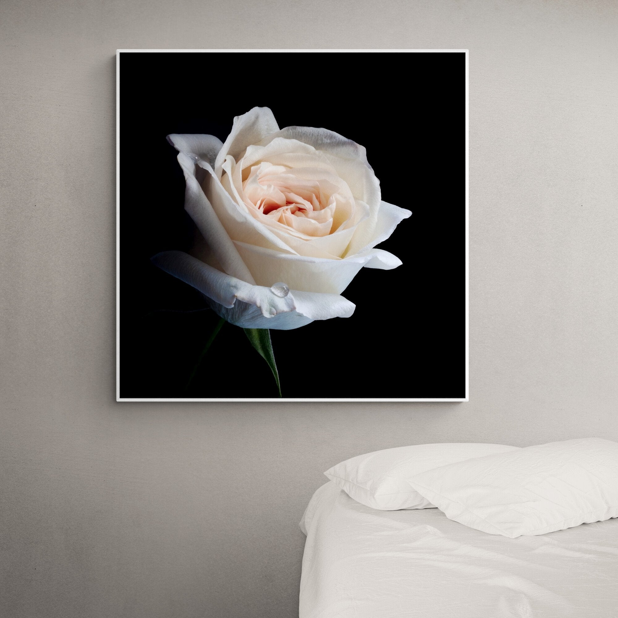 David Austin Ohara rose canvas print white frame by Kirsten Clark photography