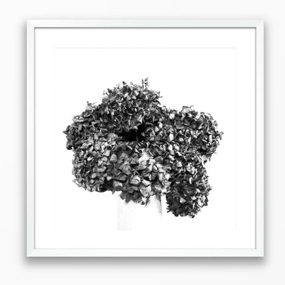 Lasting Blooms - Dried Hydrangeas #2 - Special Gift Size 300x300mm