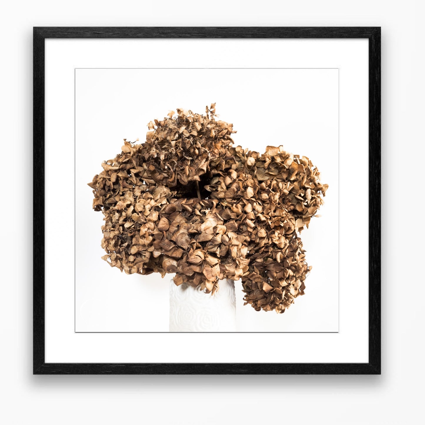 Lasting Blooms - Dried Hydrangeas #1 - Special Gift Size 300x300mm