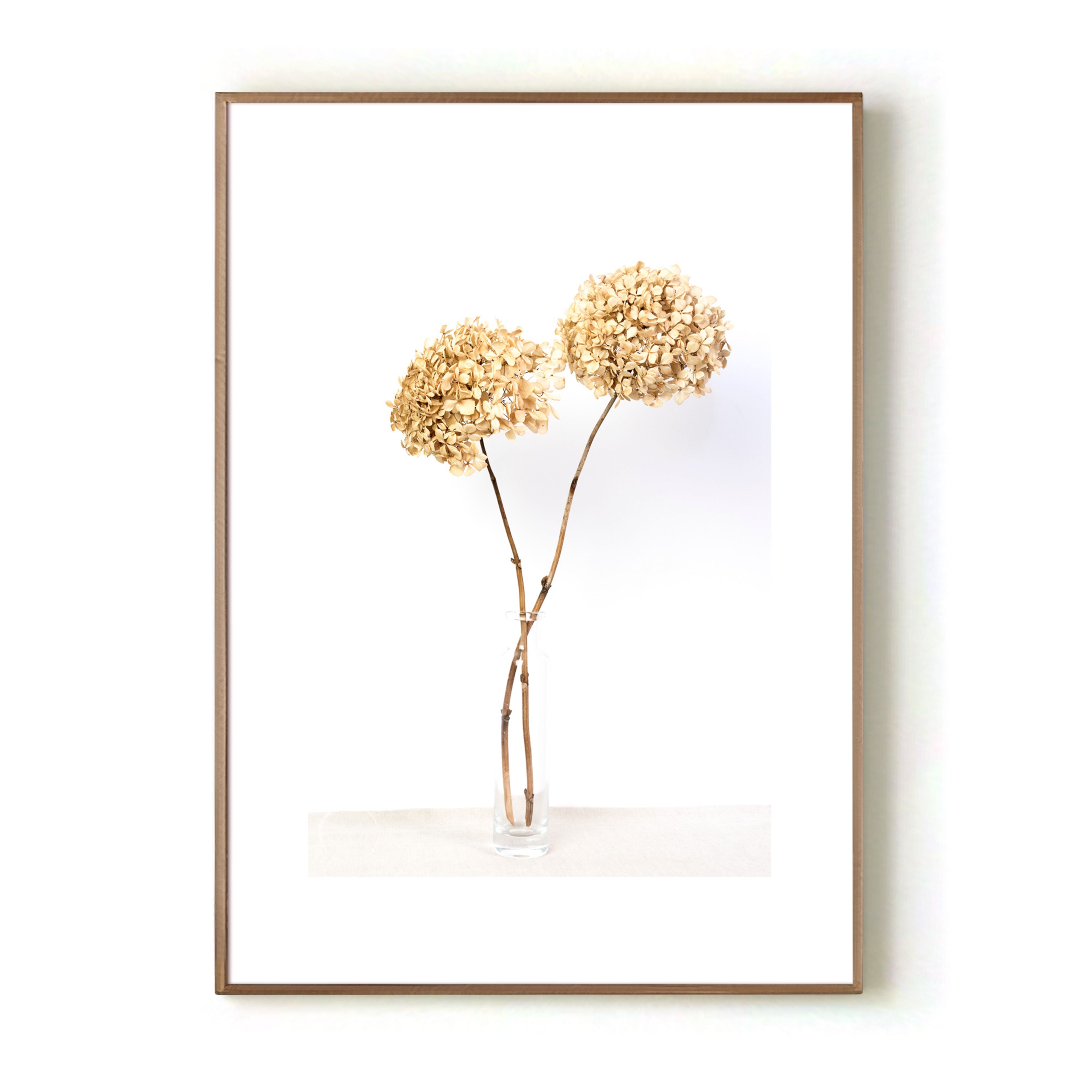 Dried Hydrangeas In A Vase Print
