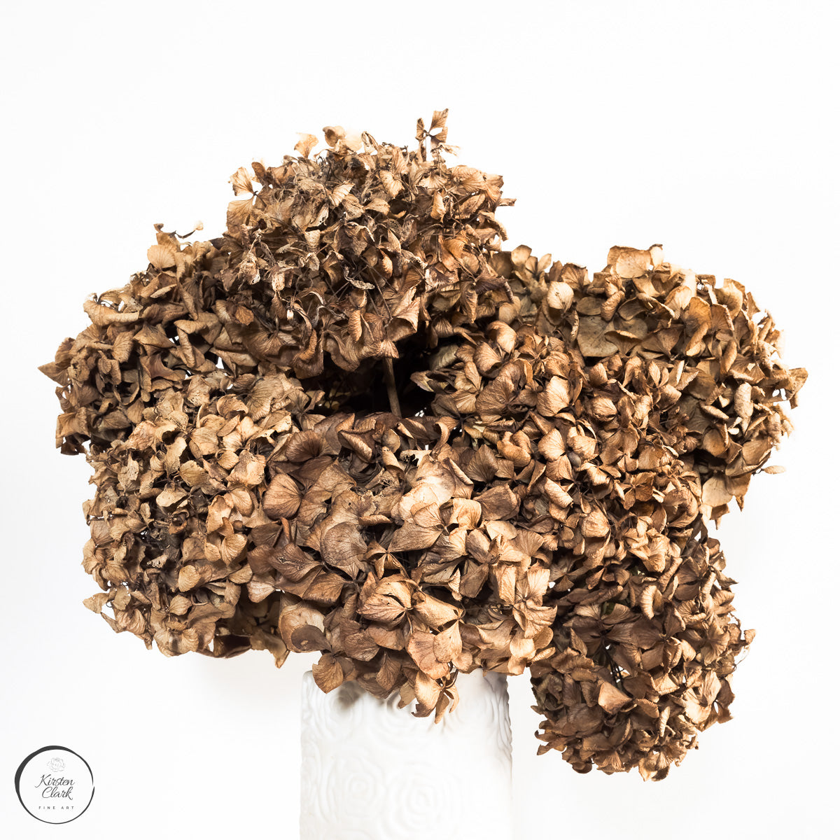 Lasting Blooms - Dried Hydrangeas #1