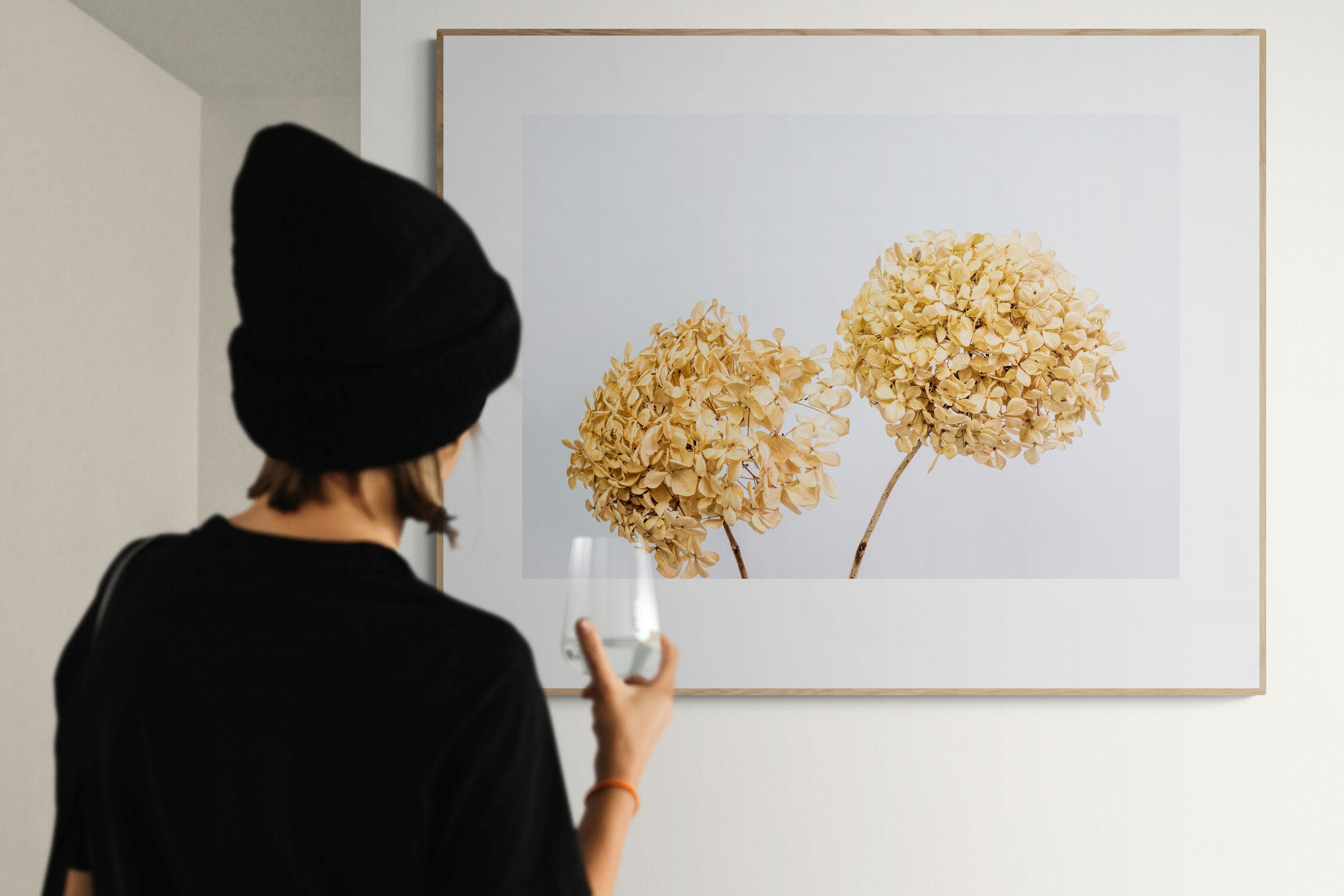 Dried Hydrangeas Print
