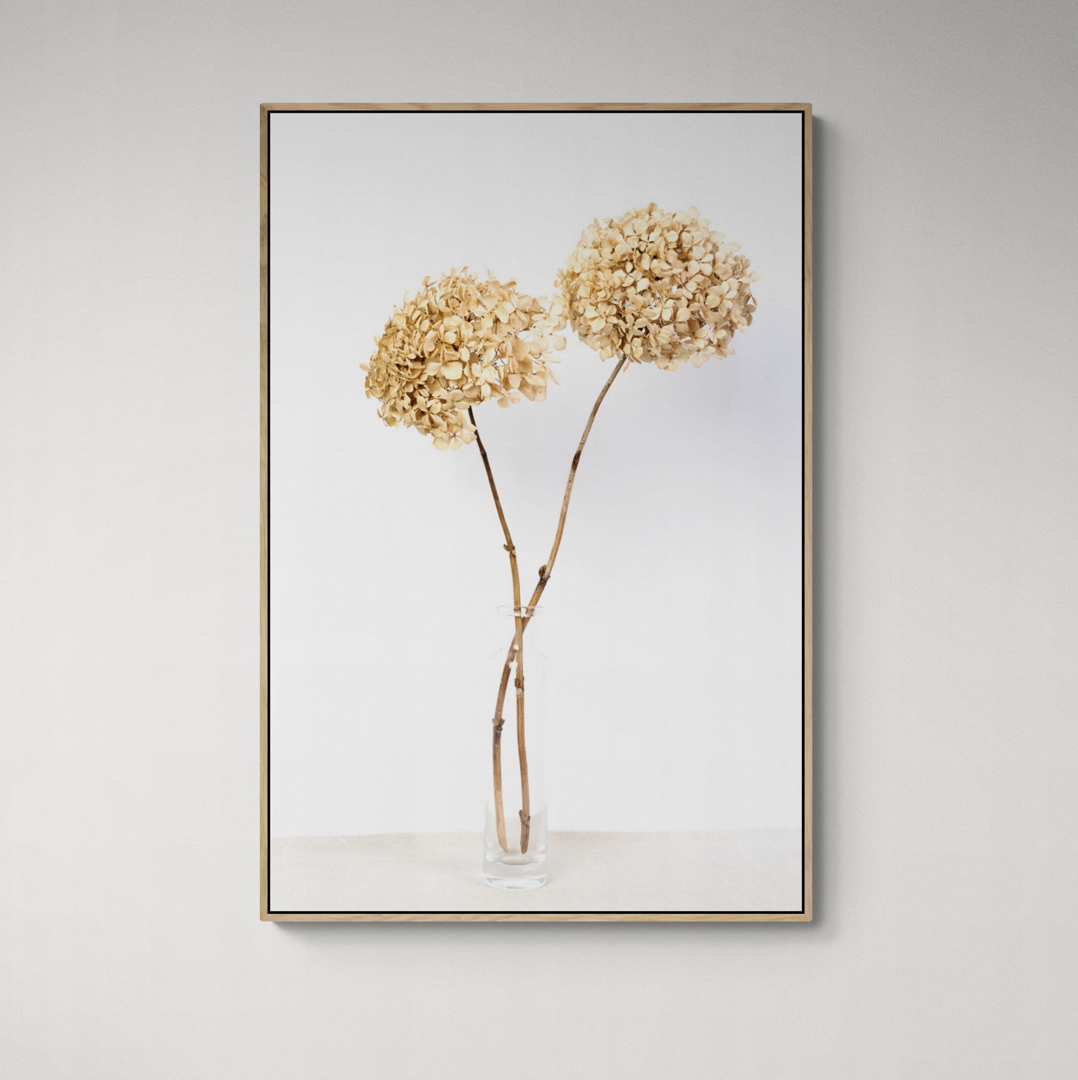Dried hydrangeas in a vase canvas print with oak frame on wall by Kirsten Clark art
