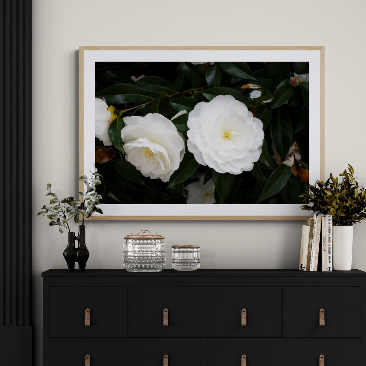 Early Pearly White Camellias | Open Edition Print