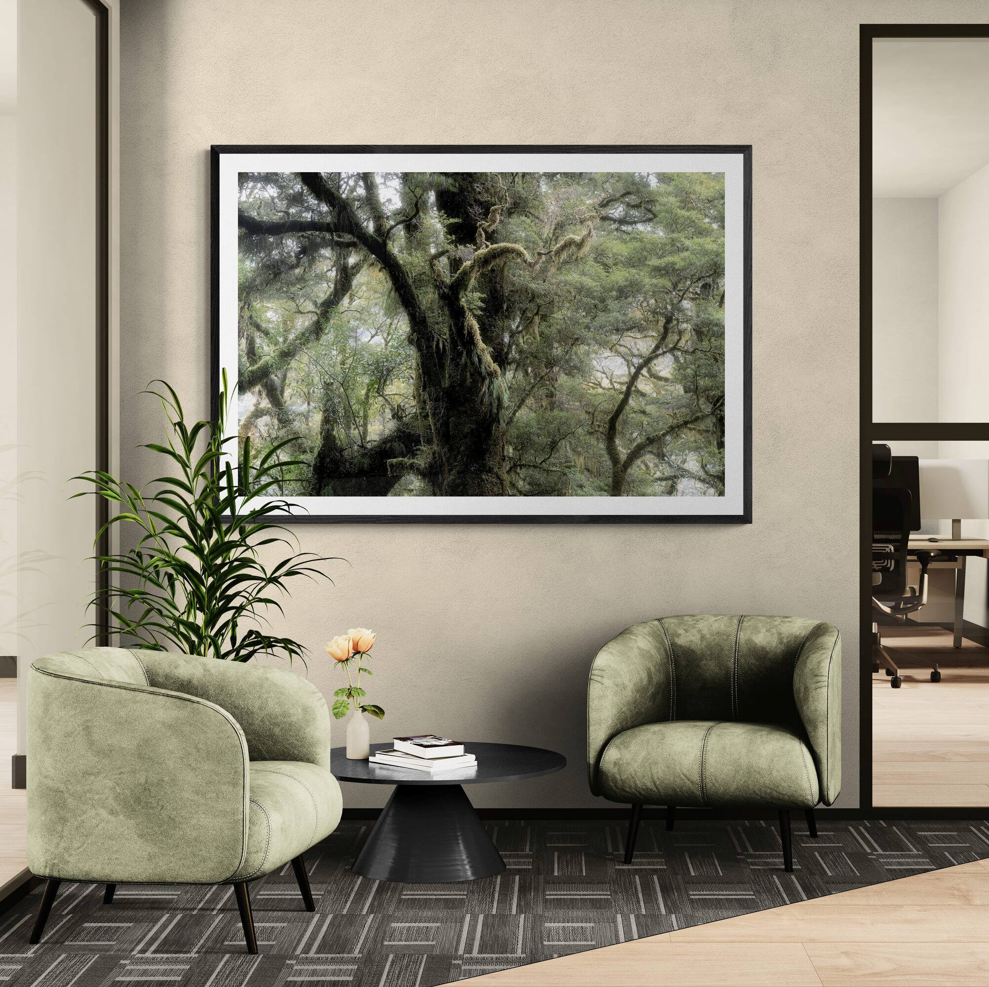 Fiordland Forest Milford Sound #1 - Limited Edition Print