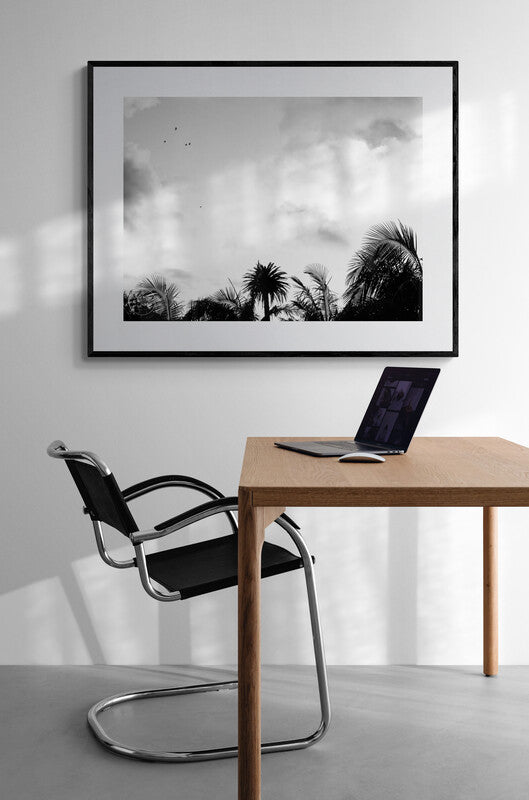 Morning Bird Flight Over Palms - OE