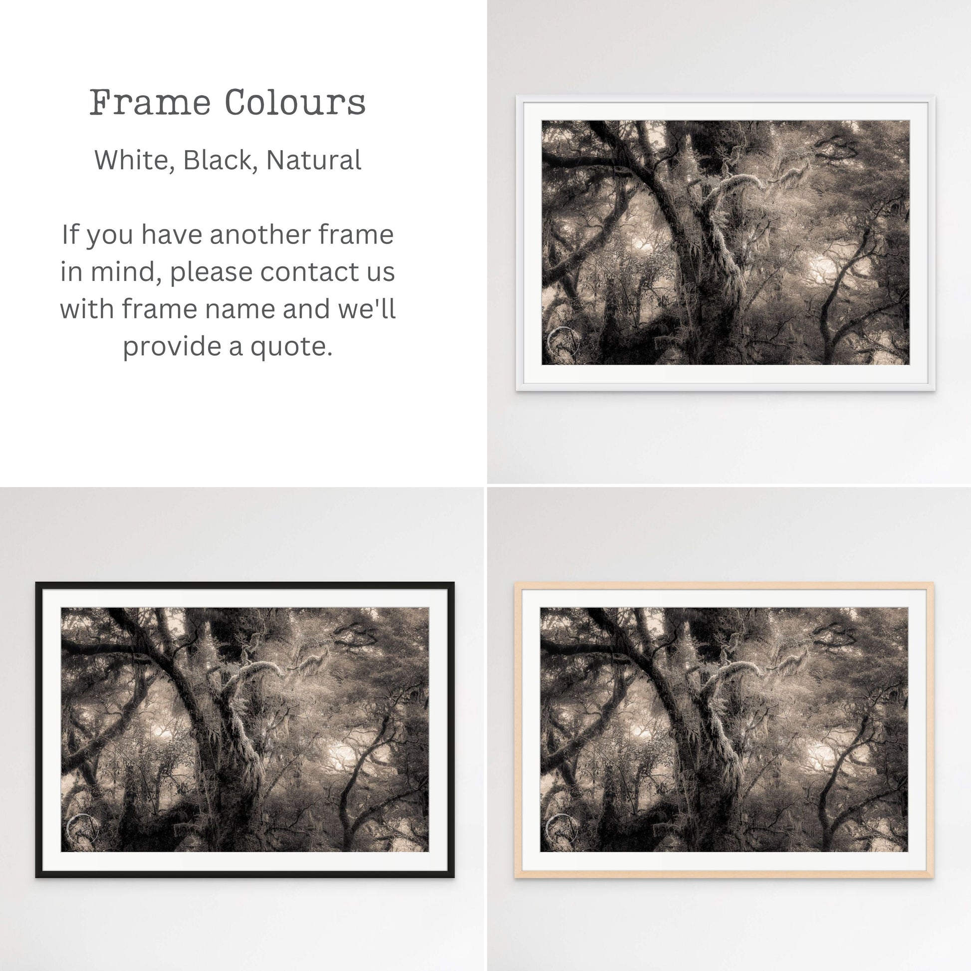 Frames Colours - Fiordland Forest Milford Sound NZ Landscape Prints by Kirsten Clark