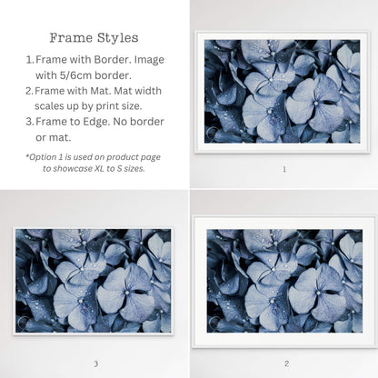 Blue Denim Hydrangeas Print Frame Style Options Kirsten Clark Art