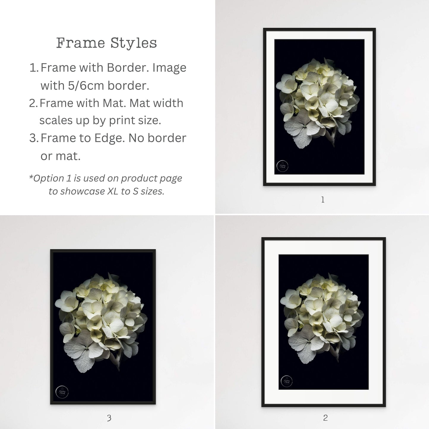 Frame Styles Options for Hydrangea Portrait by Kirsten Clark