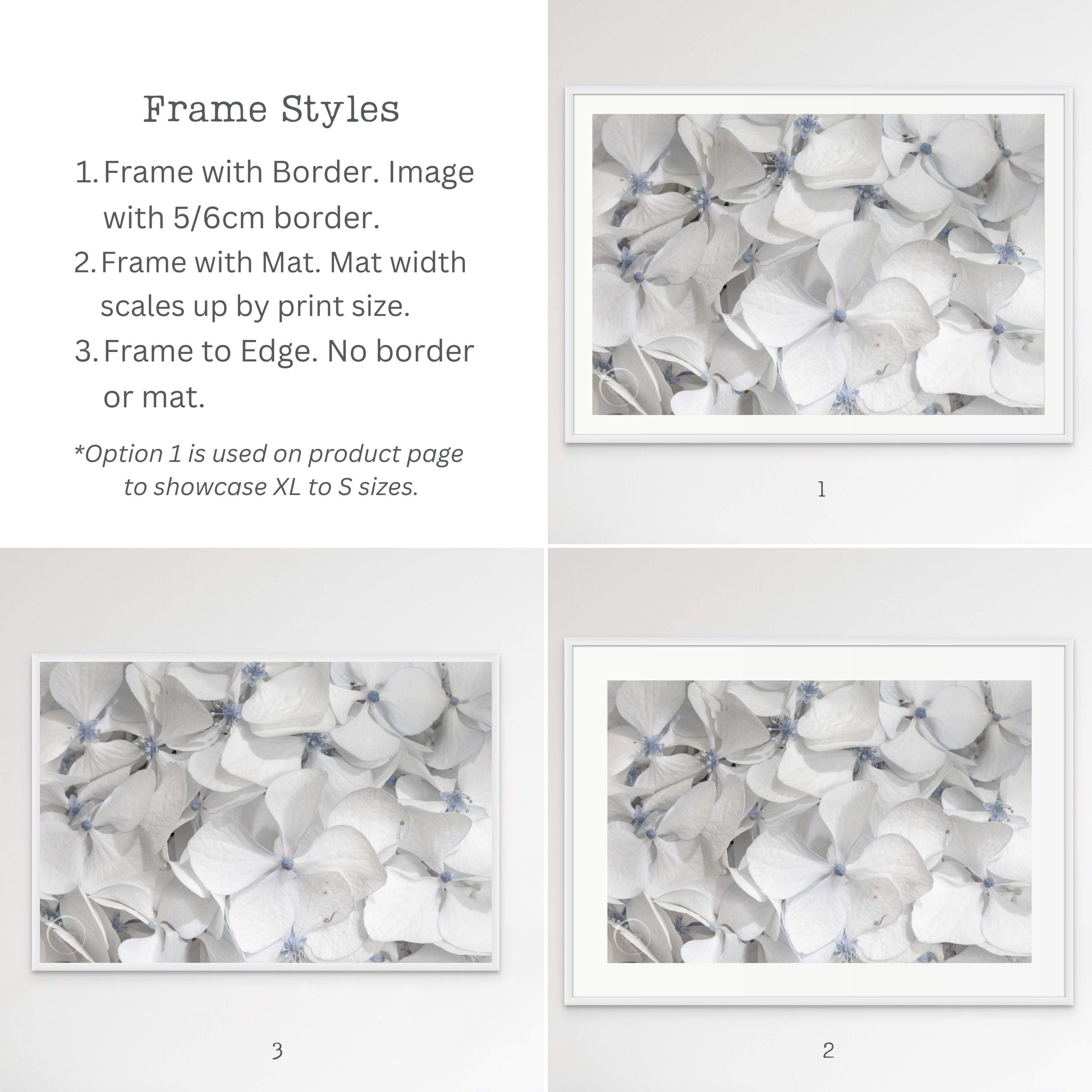Frame Style Options Hydrangea Cool Summer Whites Kirsten Clark Art