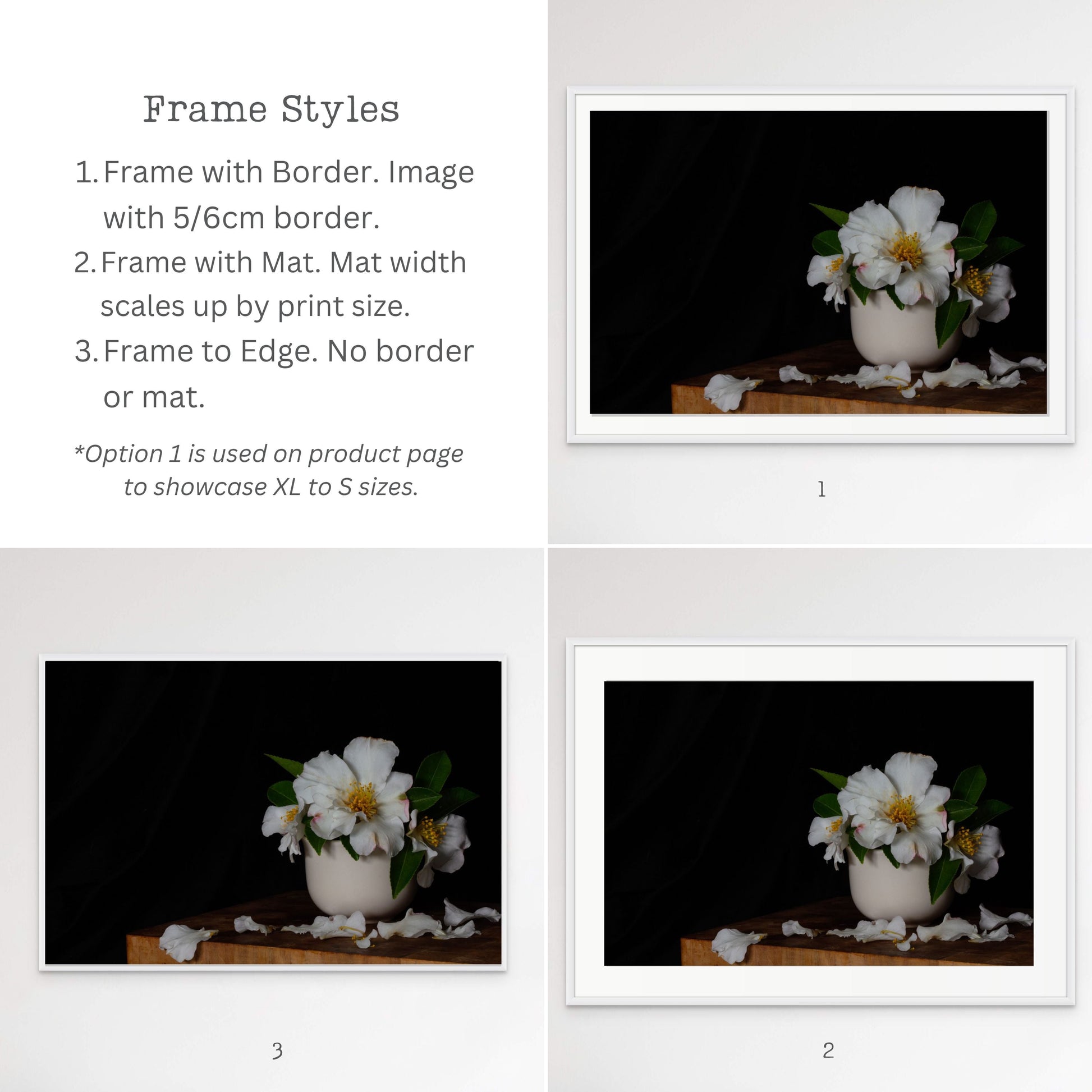 Frame Style Option White Camellias Still Life by Kirsten Clark Art