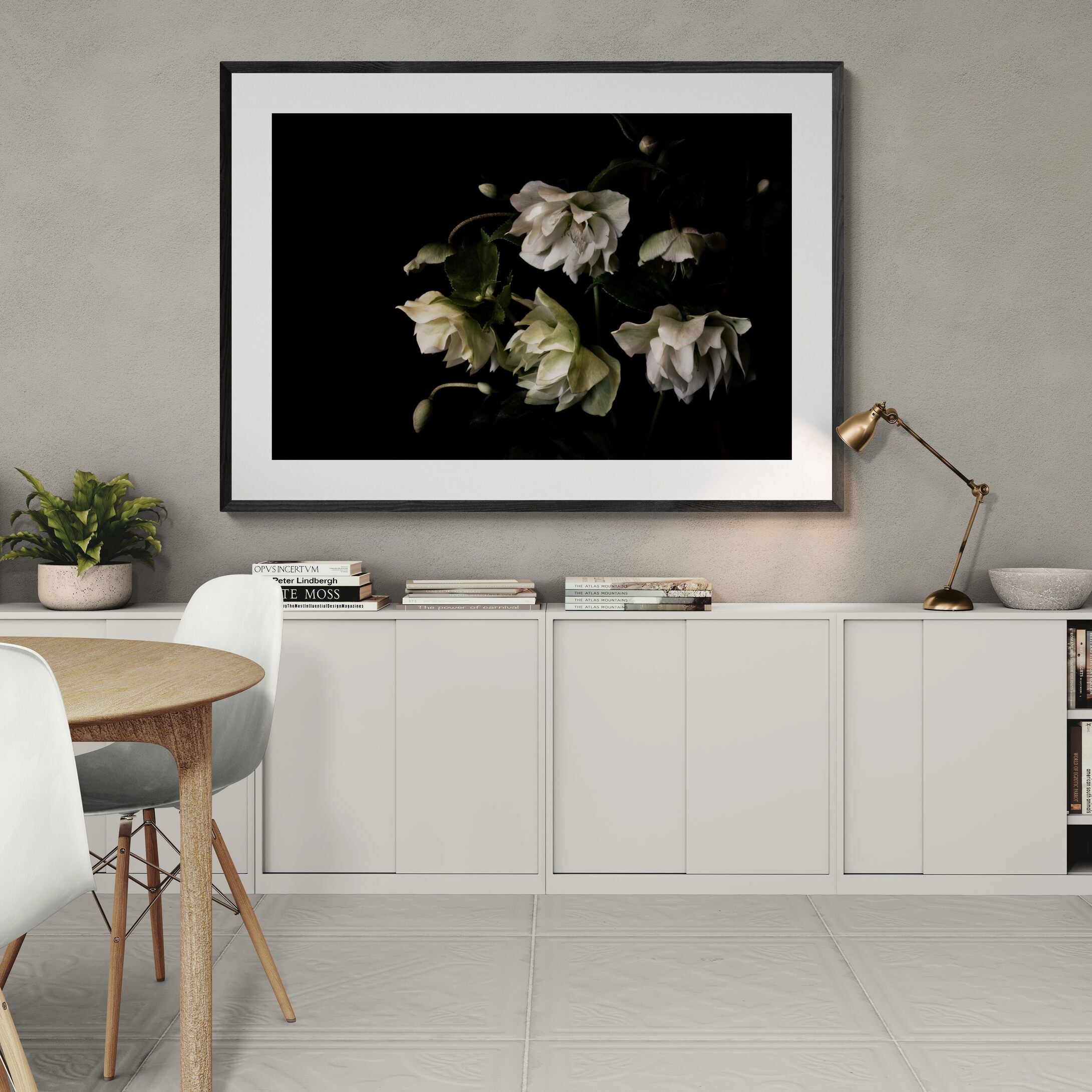 Hellebore Winter Rose | Limited Edition Print