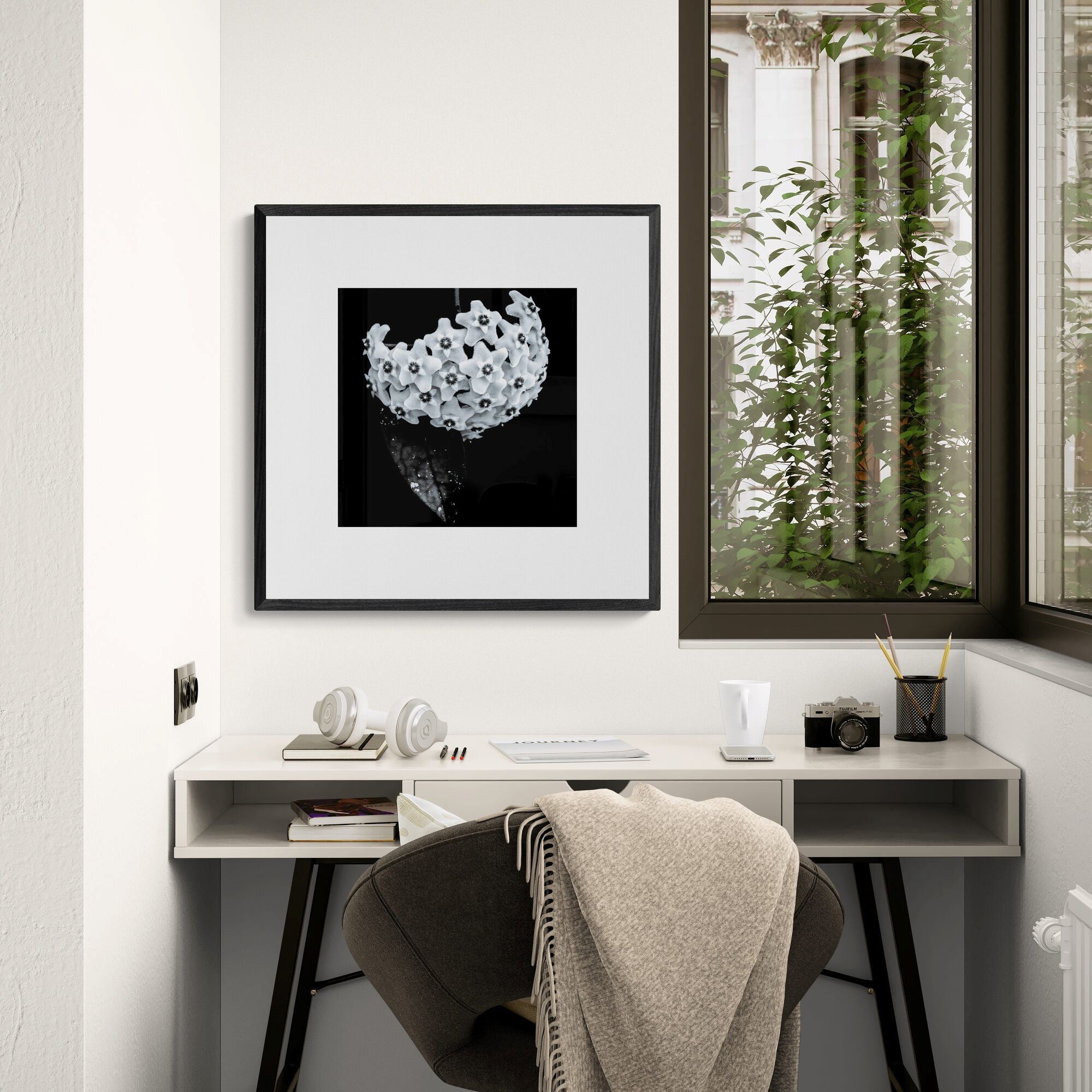 Framed Hoya Heirloom black and white print in home office by Kirsteb Clark Art