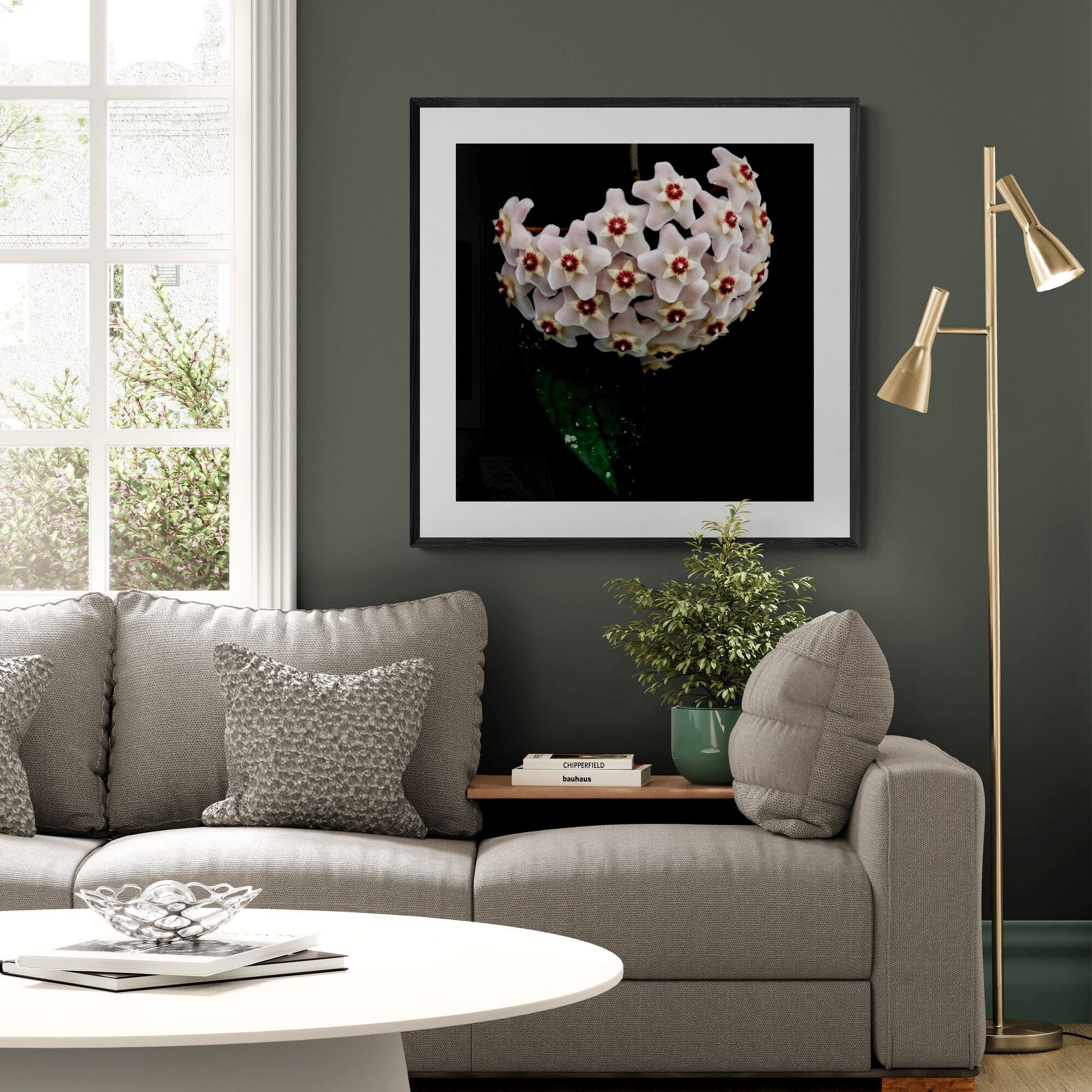Hoya Heirloom #1 | Limited Edition Print
