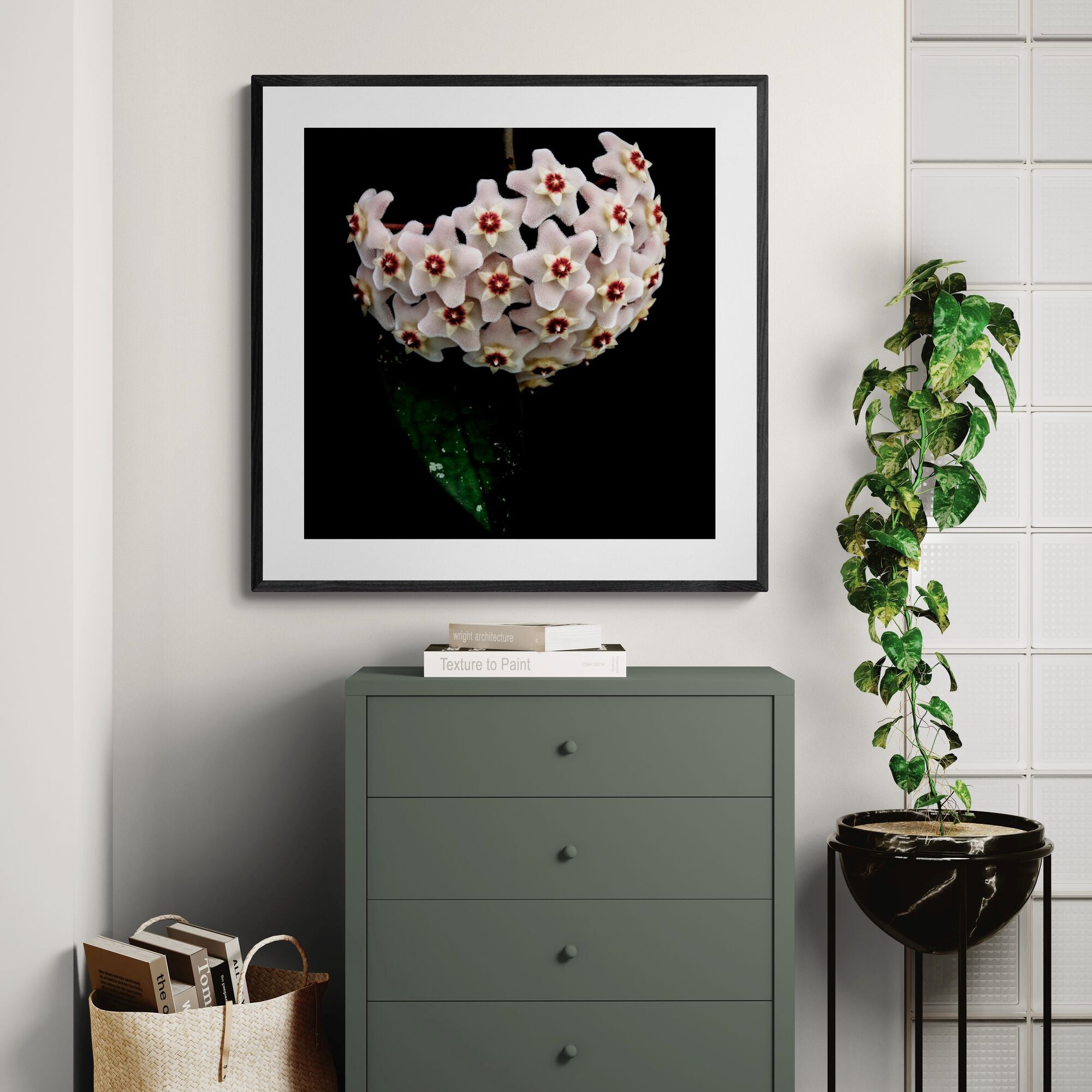 Hoya botanical print in modern home interior by Kirsten Clark Art