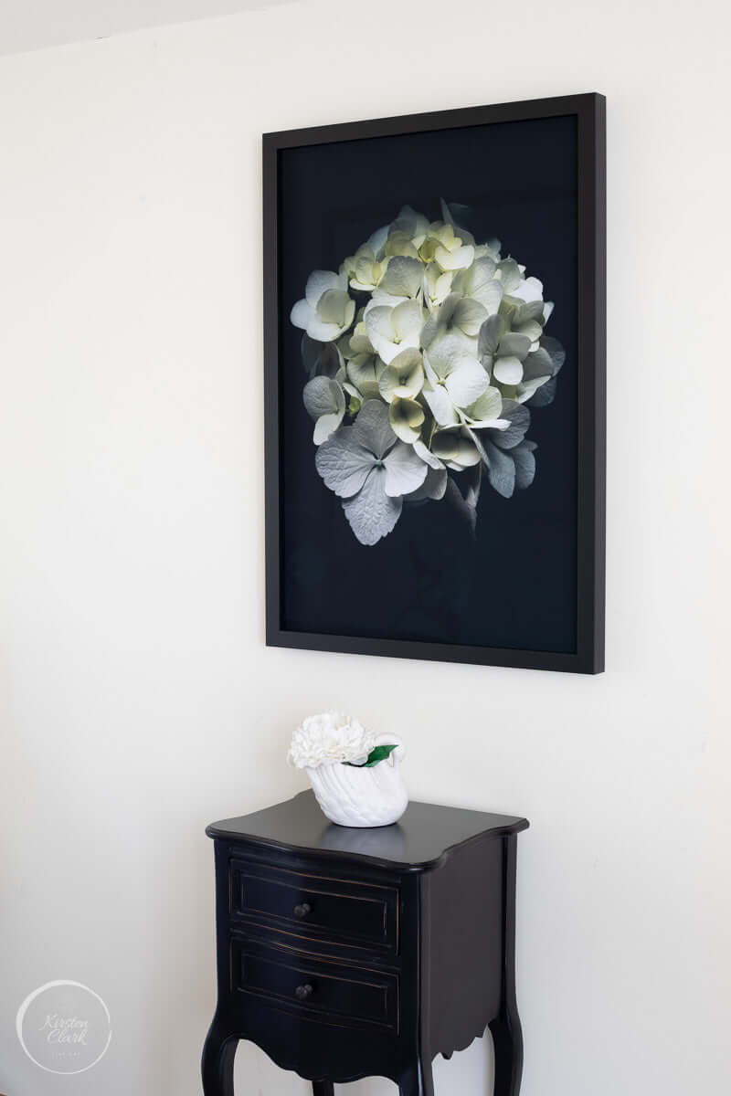 Framed Hydrangea in the Studio