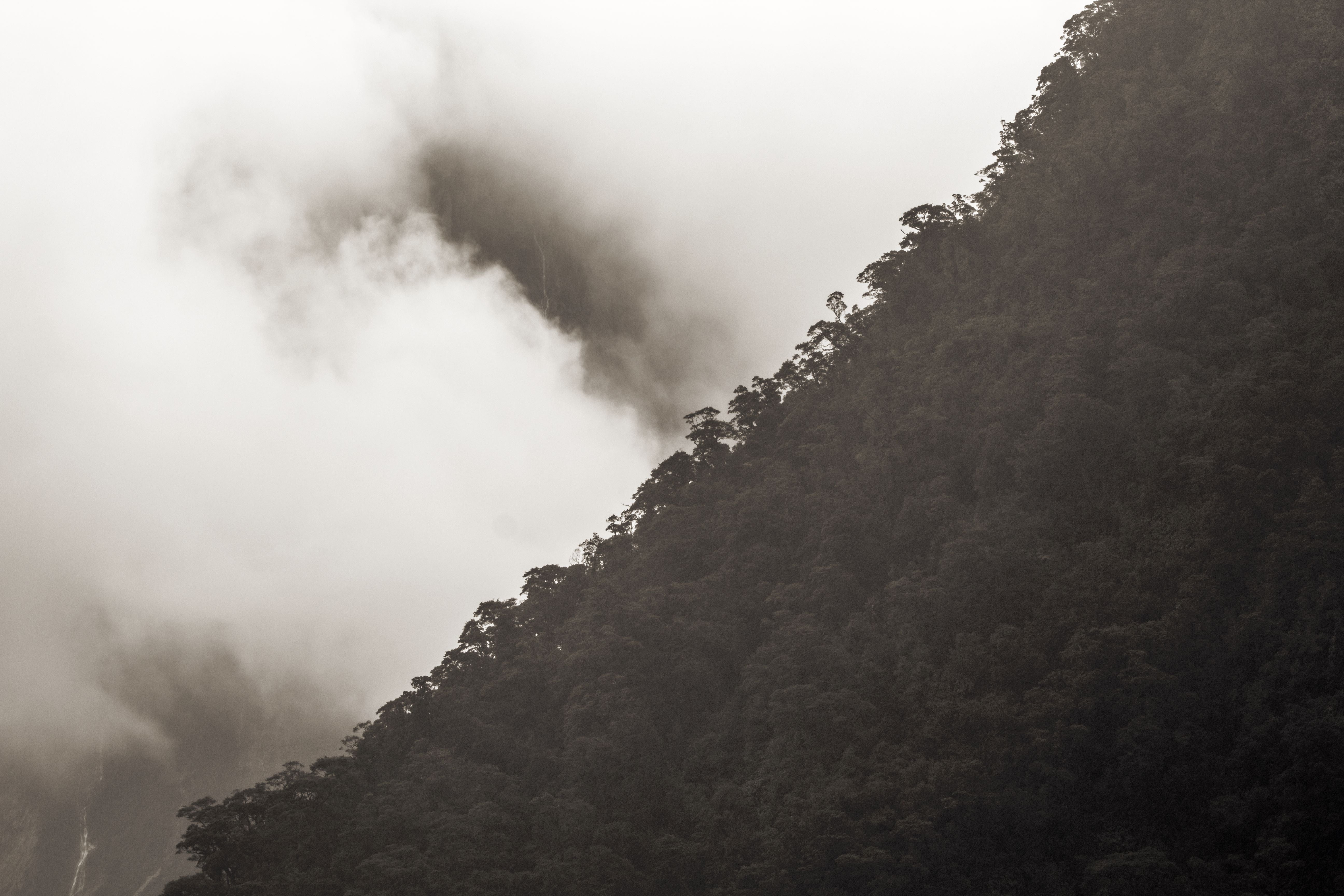 Land - Milford Sound Series