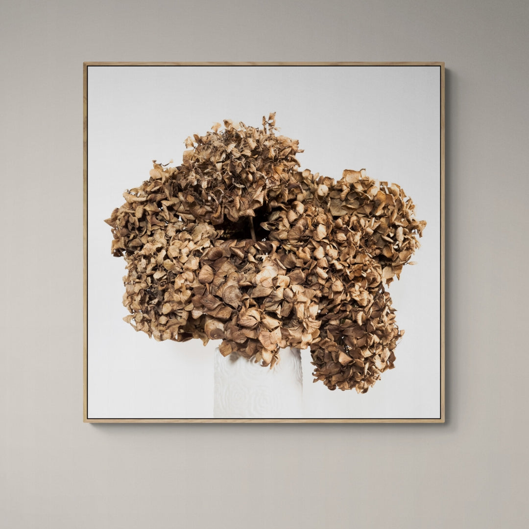 Lasting Blooms Dried Hydrangeas Canvas Print on wall by Kirsten Clark Art