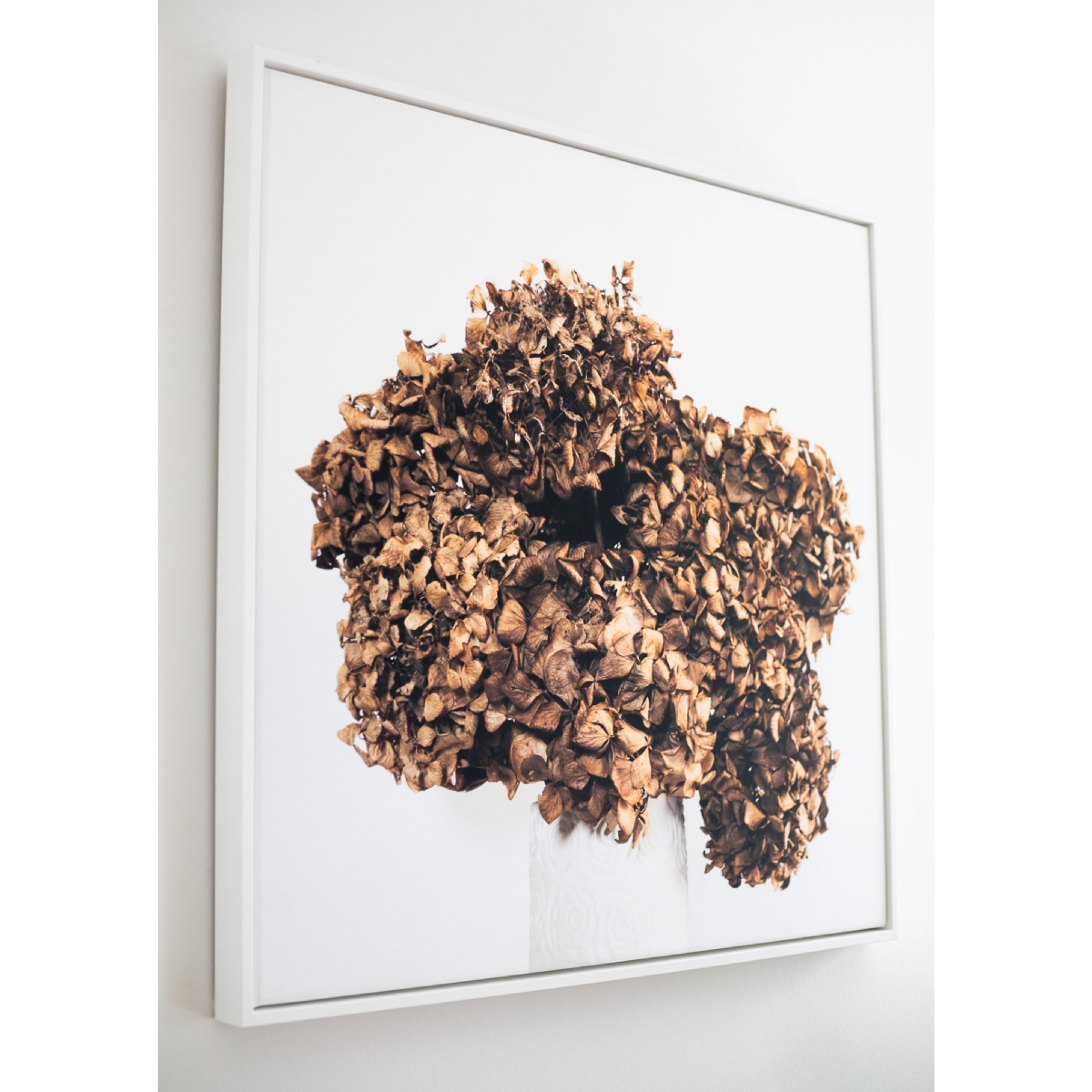 Dried hydrangea fine art print, white tray frame, earthy brown botanical wall art — Lasting Blooms