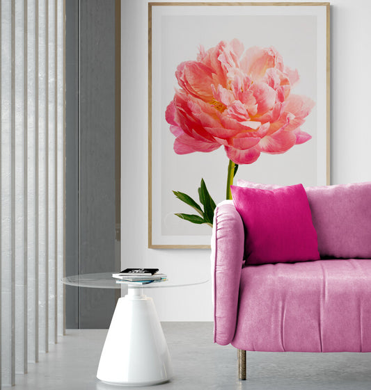 Coral Charm Pink Peony Wall Art Print by Kirsten Clark Art