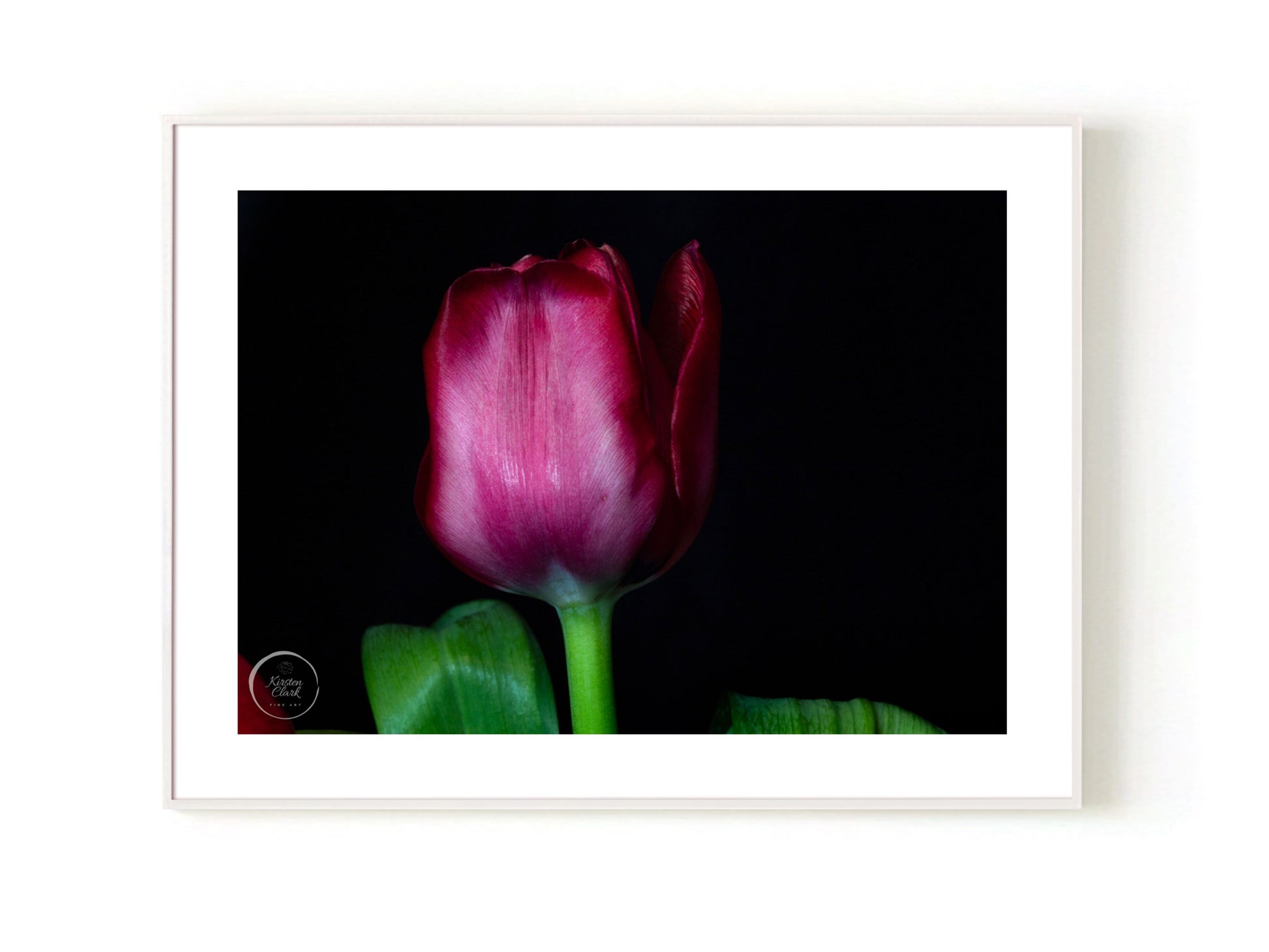 Magenta Tulip Open Edition White Frame Kirsten Clark Art