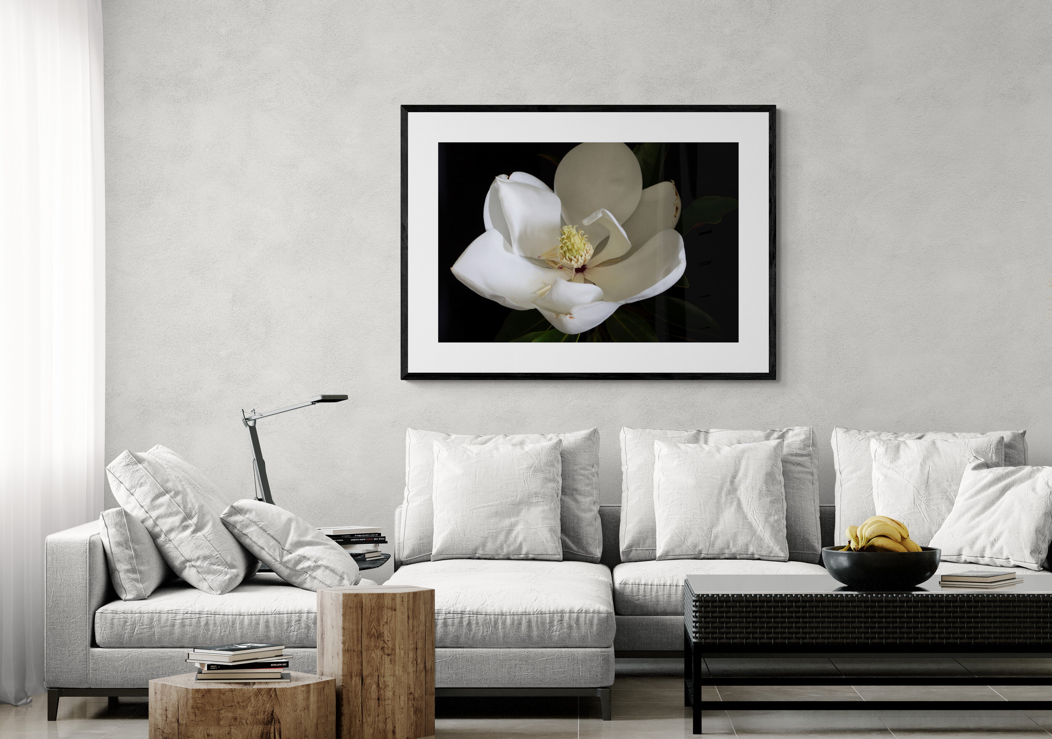 Magnolia III - Magnolia Series