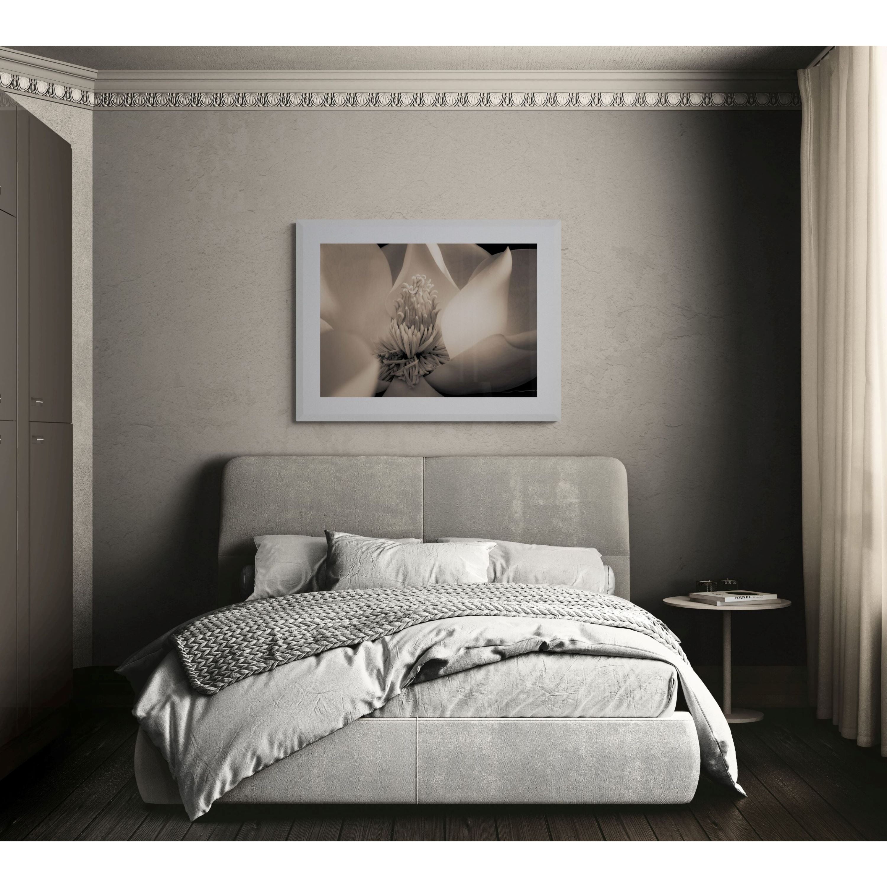 Magnolia VI - Magnolia Series