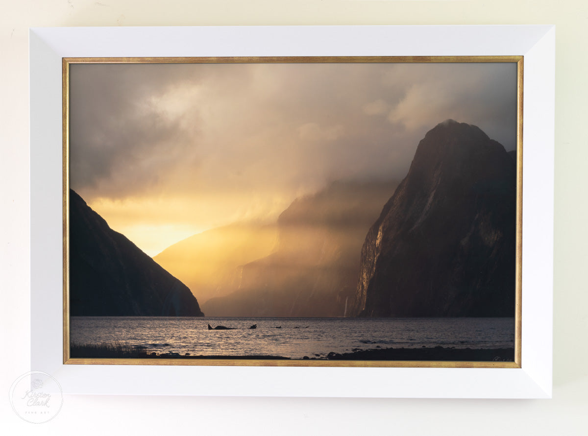 Milford Sound Golden Hour (Framed)