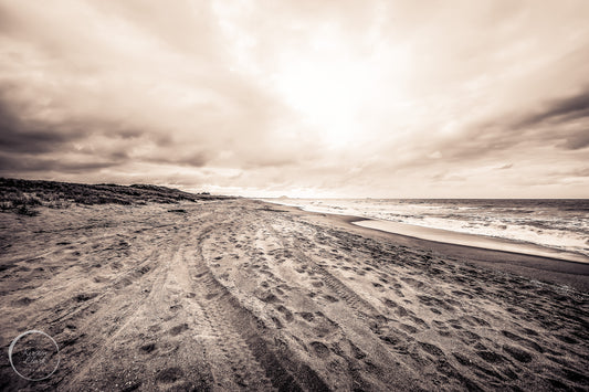 Papamoa Beach - End of a Busy Day