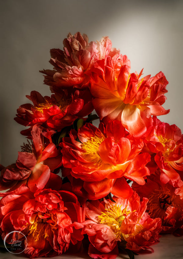 Coral Sunset Peony Print floral wall art for stylish decor by Kirsten Clark Art