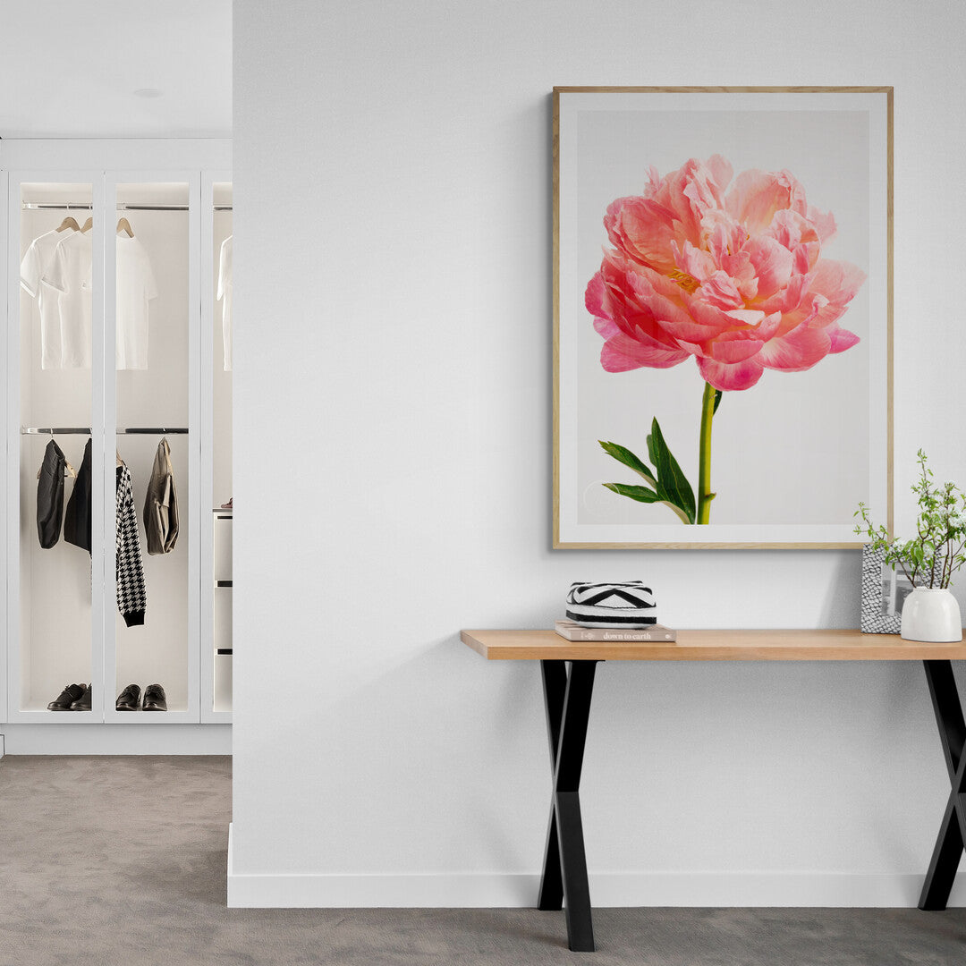 Peony Coral Charm - Open Edition Print